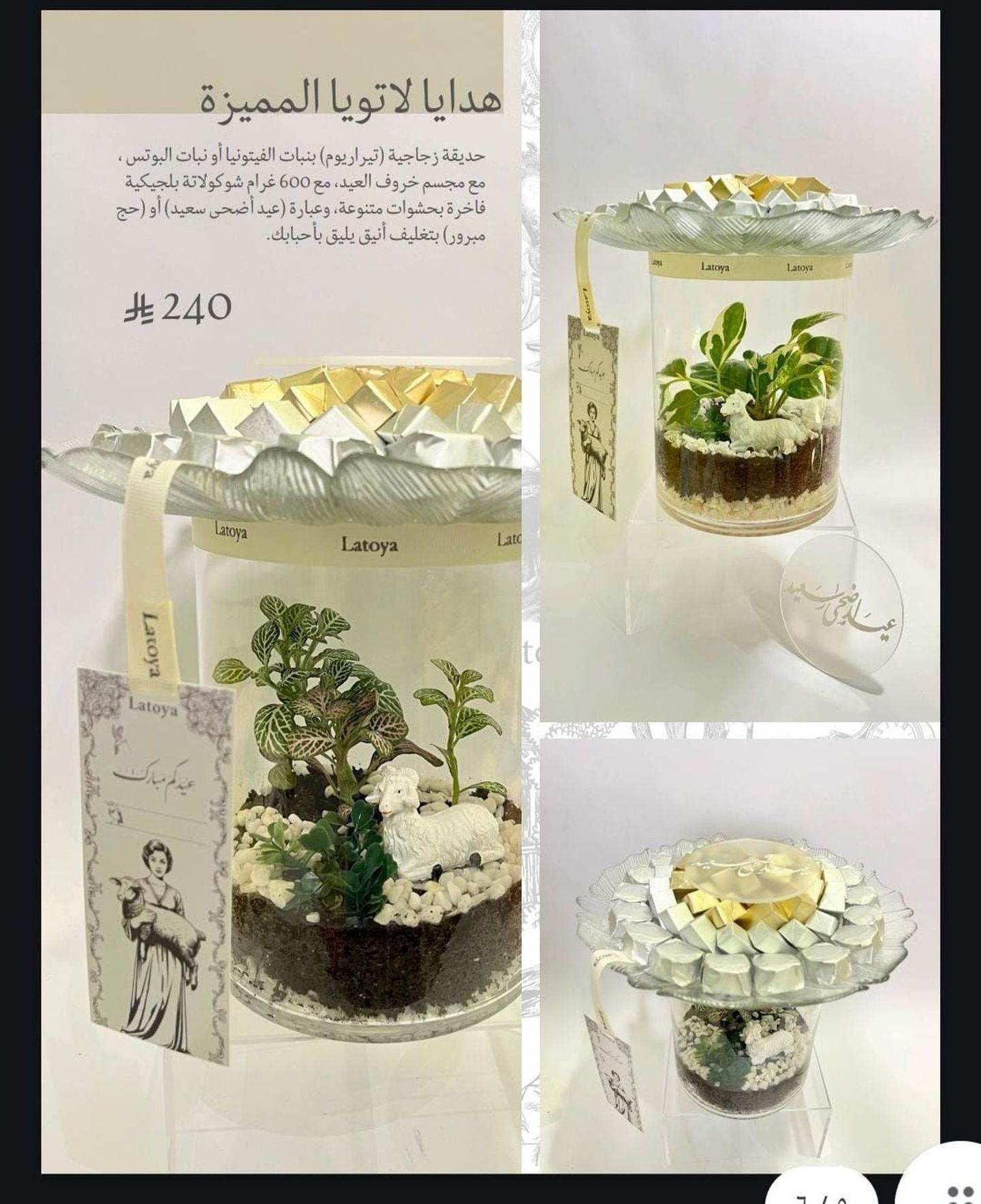 صينيه توزيعات العيد لاتويا ٠٠٤٩٤١