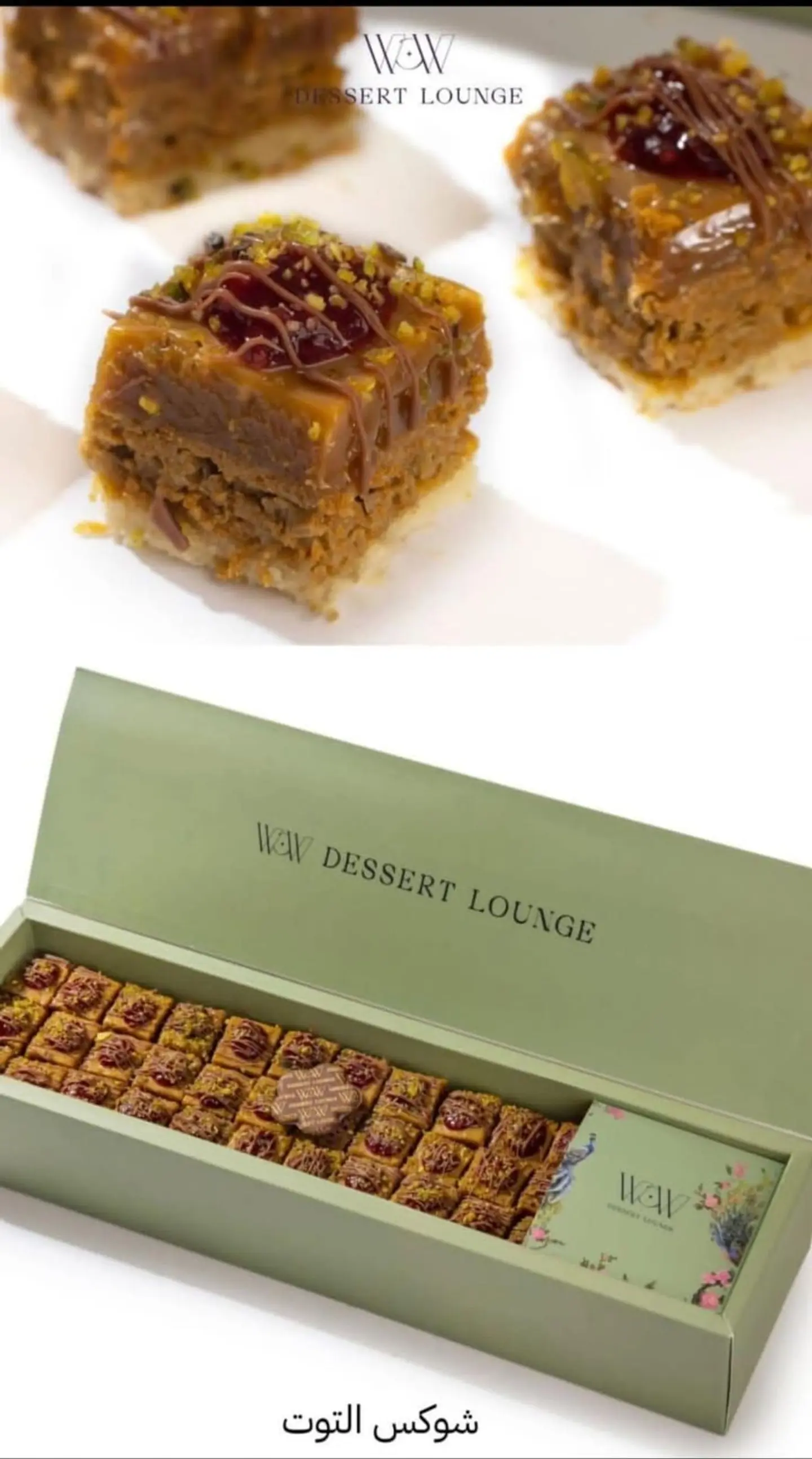 تشوكس توت 00638