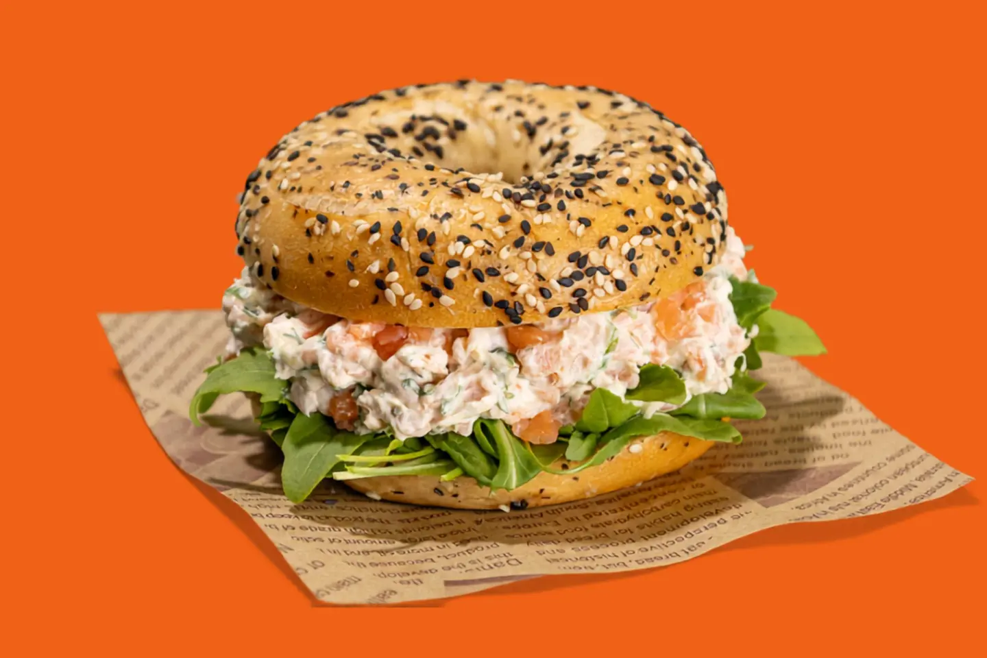 Salmon Bagel