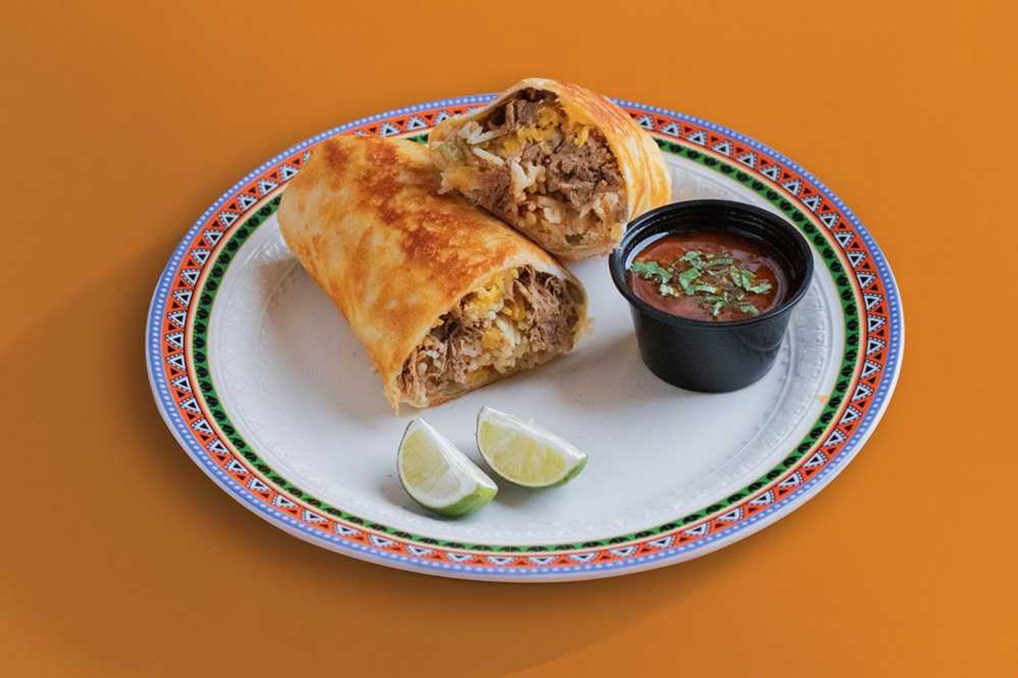 Birria Burrito