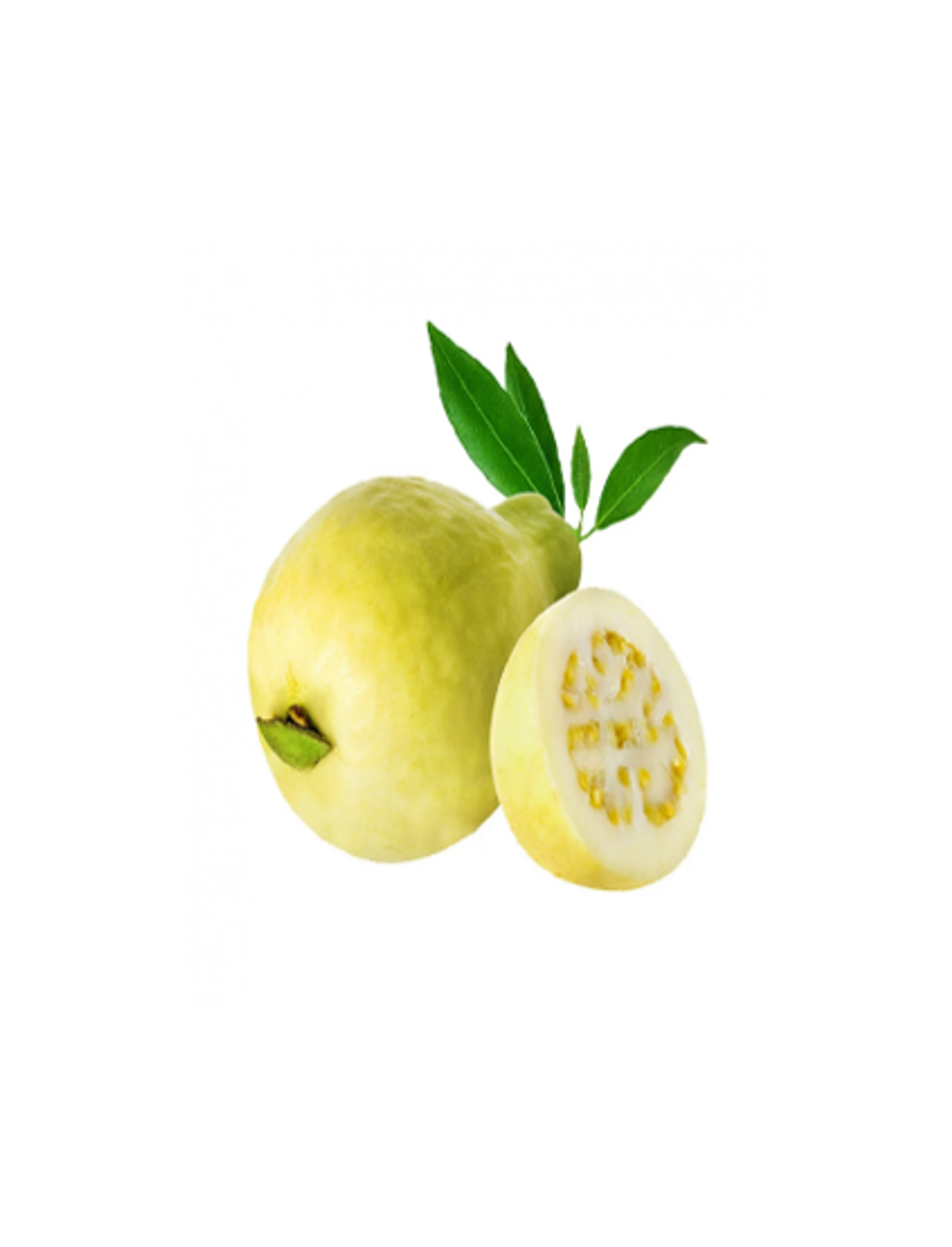 جوافة كيلو