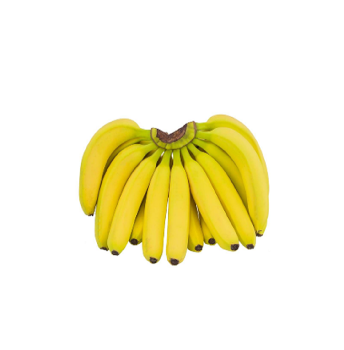 موز فلبيني