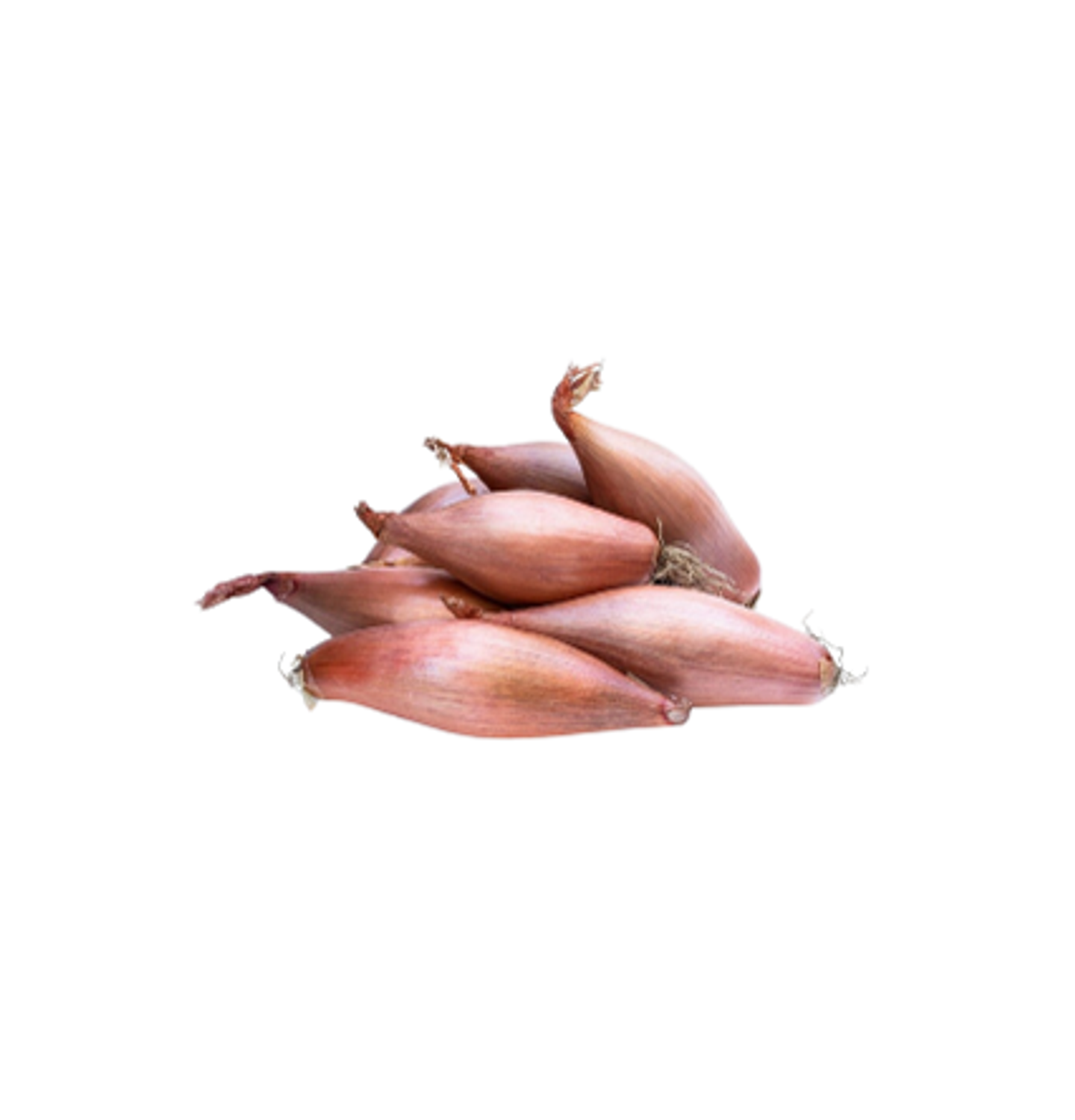 بصل حساوي كيلو