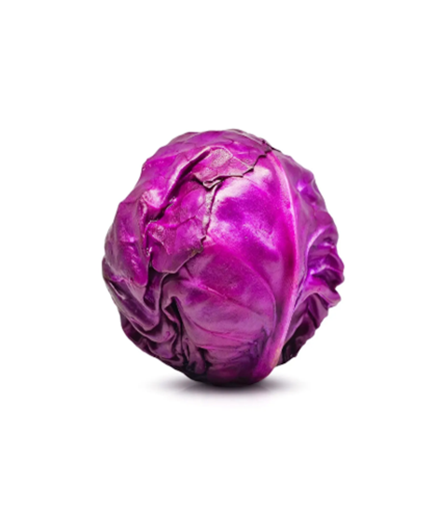 ملفوف احمر حبة