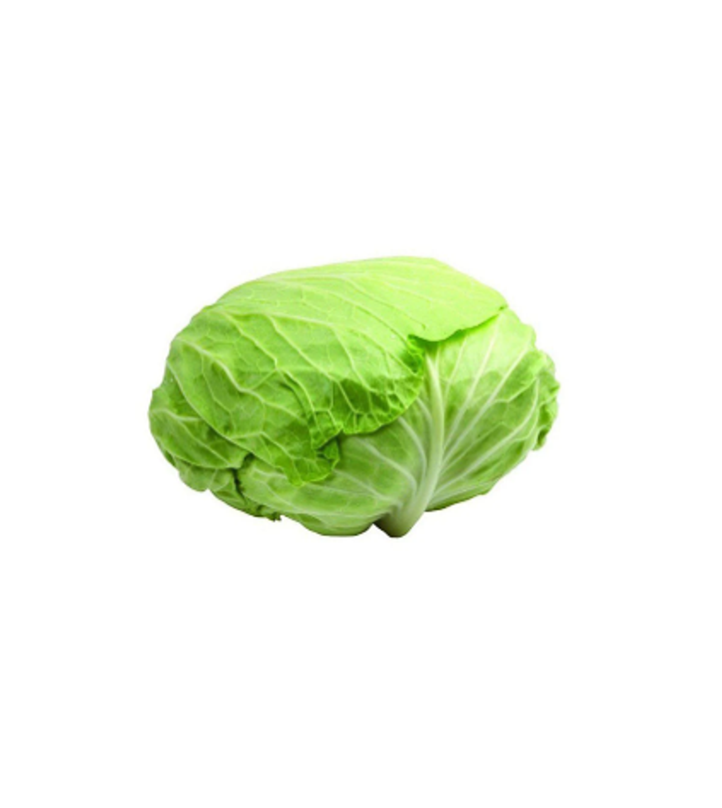ملفوف محشي حبة