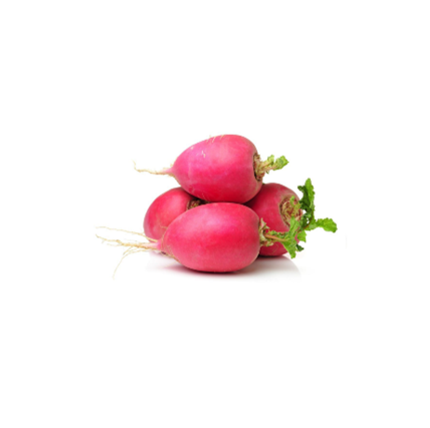 فجل احمر حزمة