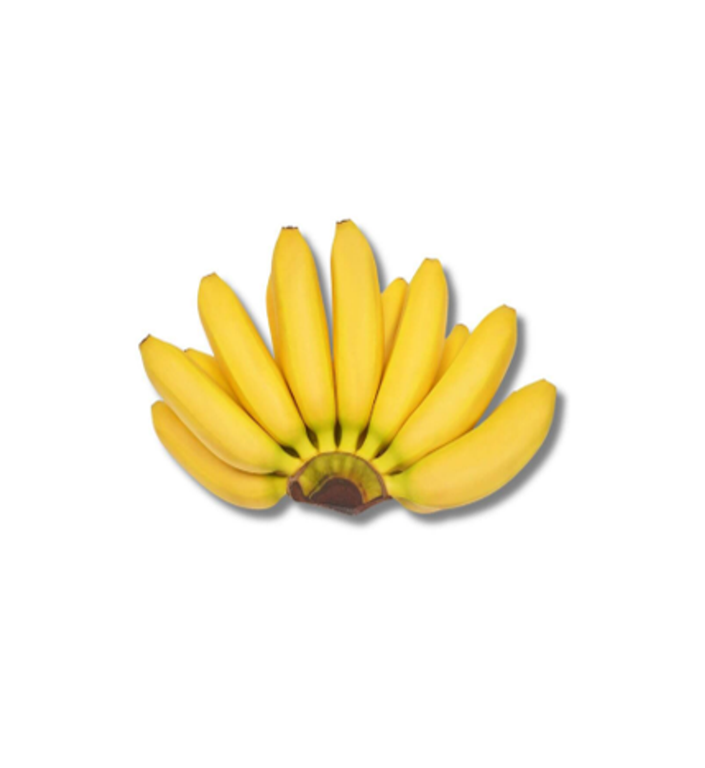 موز