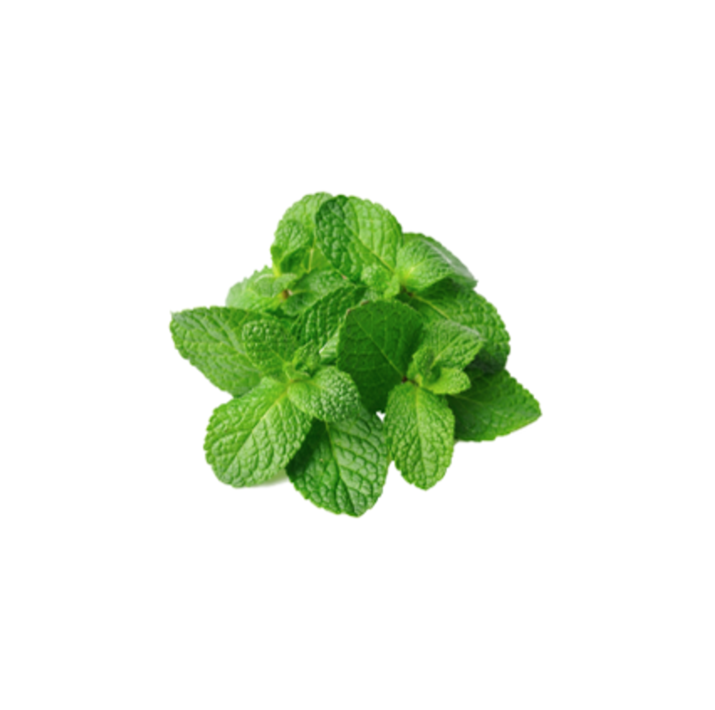 نعناع حزمة