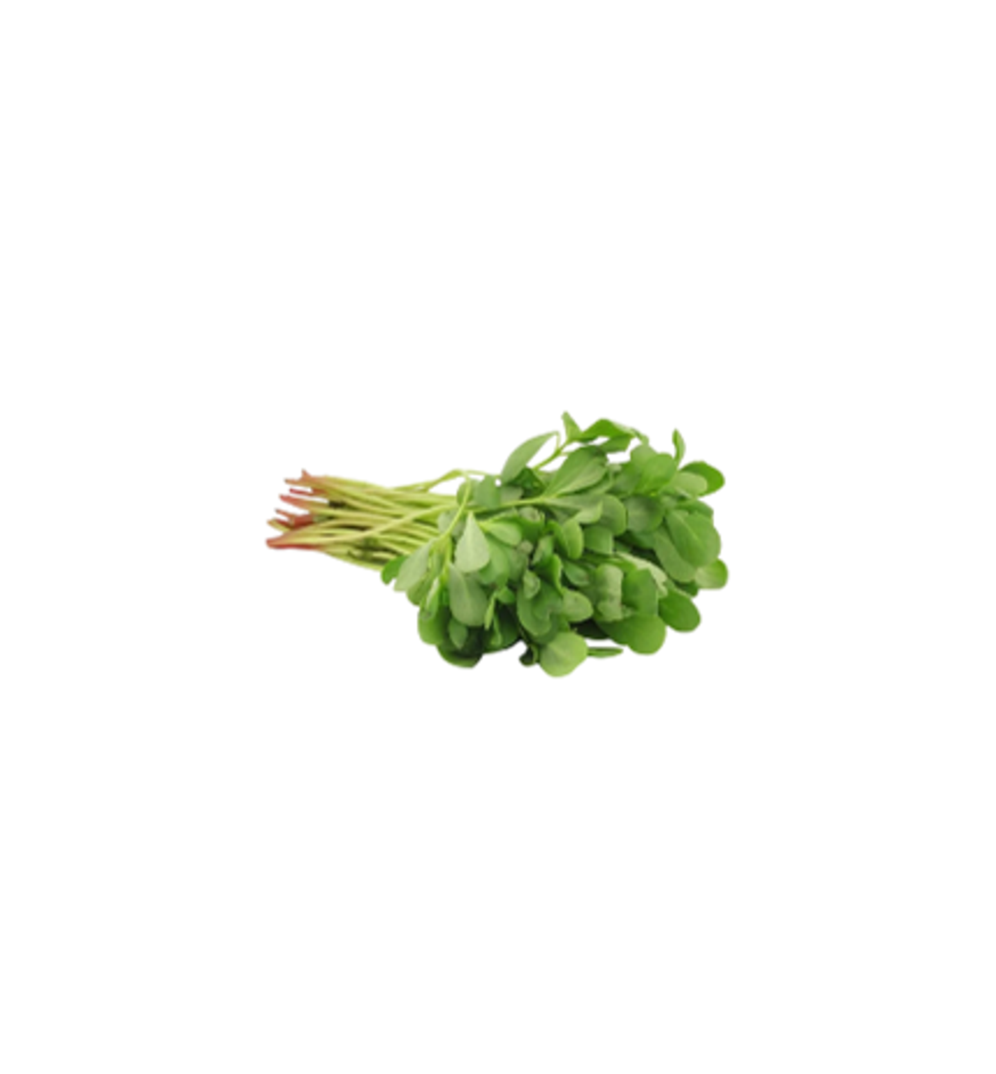 رجلة حزمة