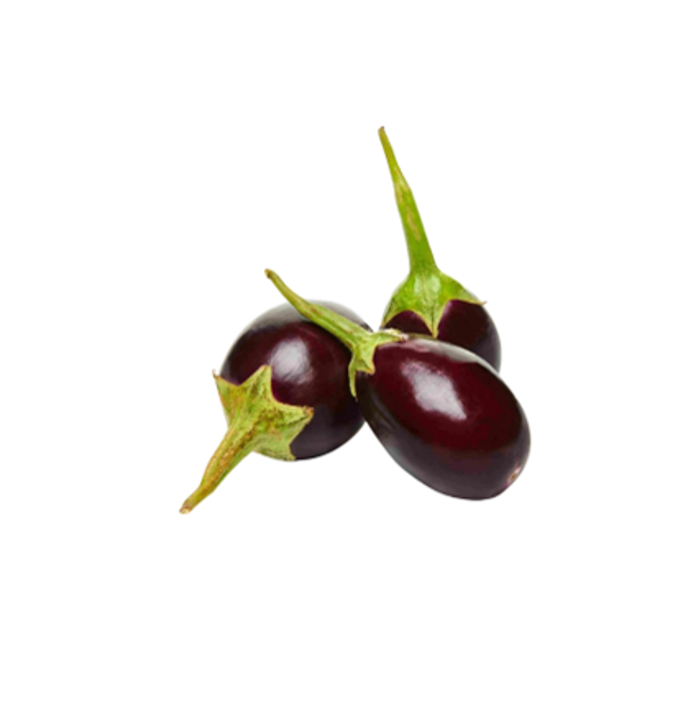 بذنجان صغير وسط