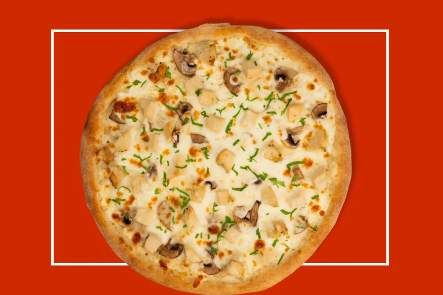 Chicken Alfredo Pizza Large