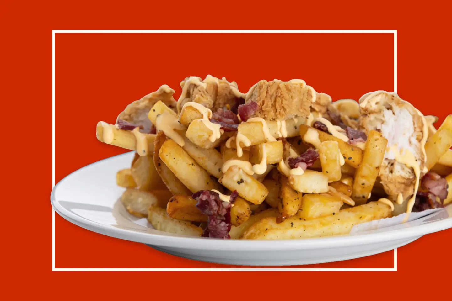 Beef Bacon And Chicken Bits With Cheese Fries