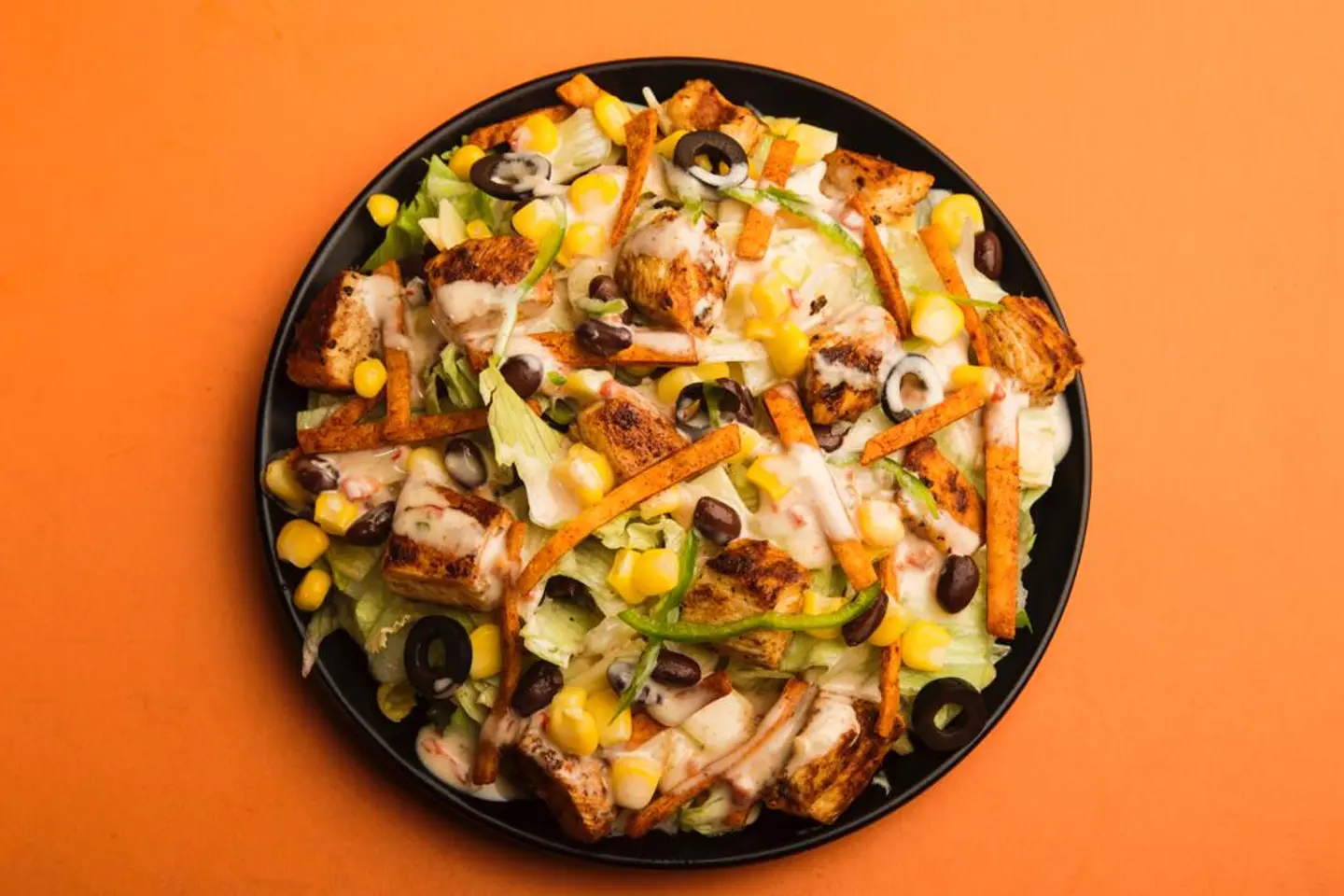 Mexican Troja Authority