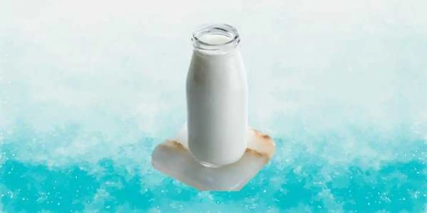 Fresh Yogurt