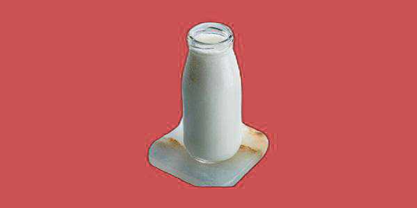 Fresh Yoghurt
