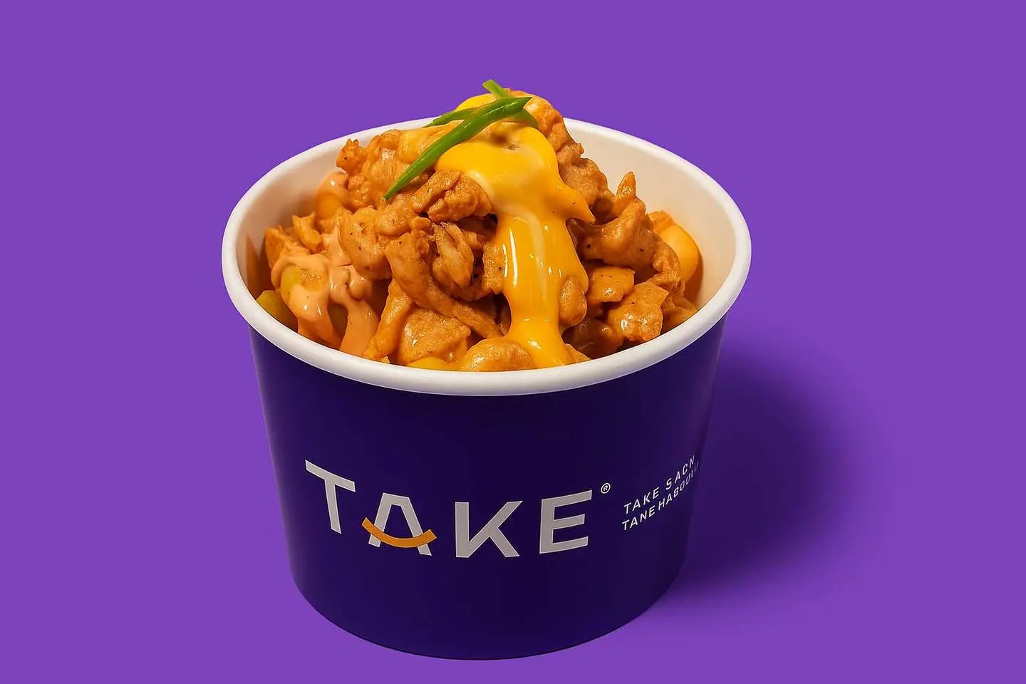 Take Fries Chicken