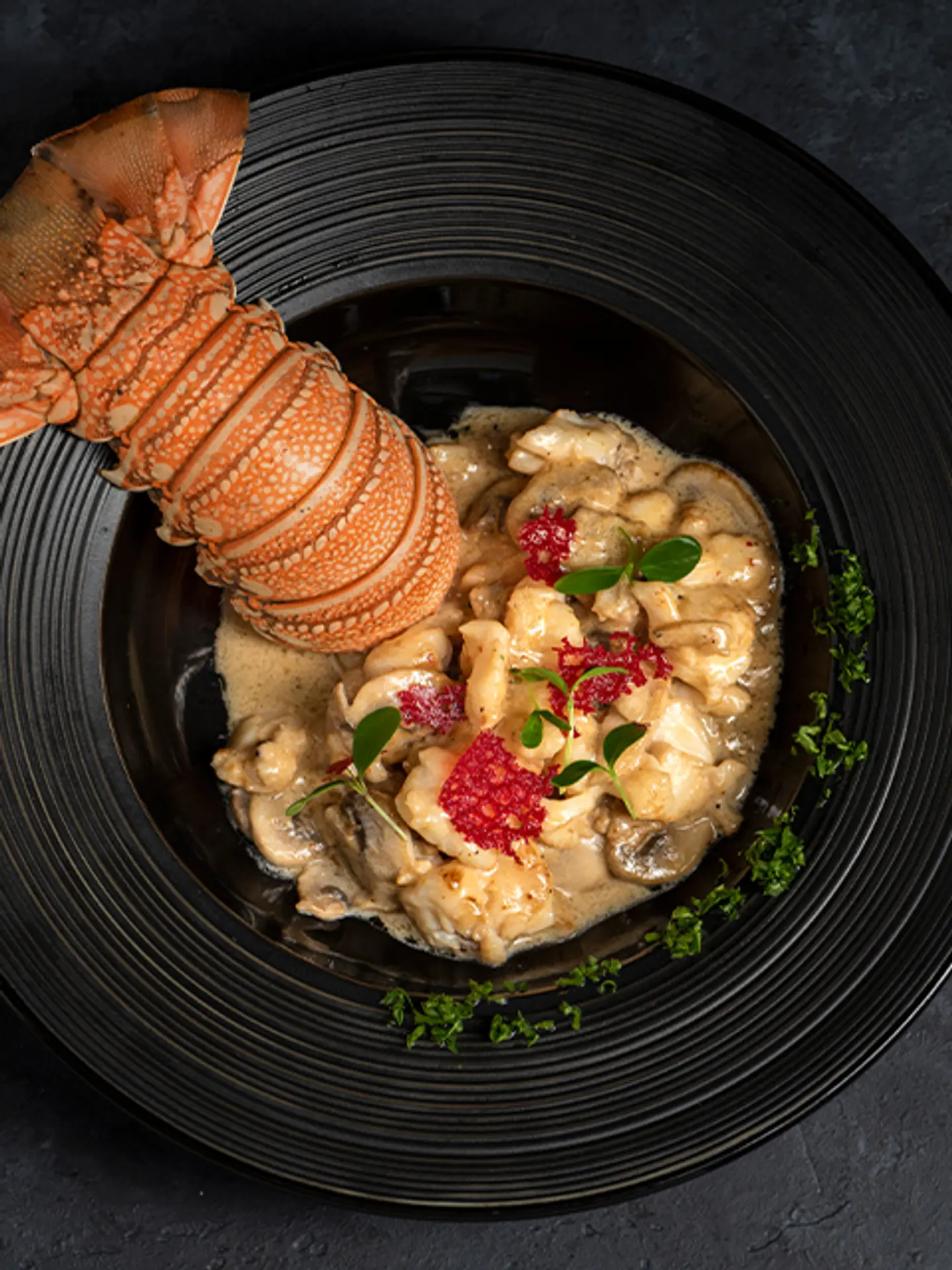 Creamy Lobster