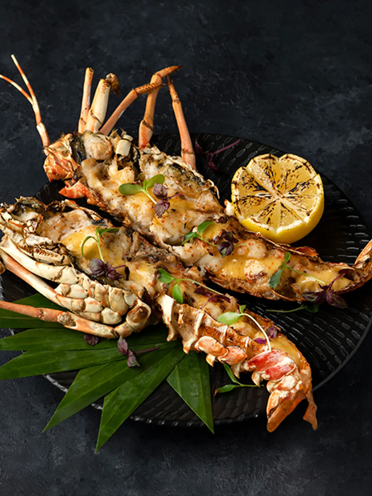 Grilled Lobster