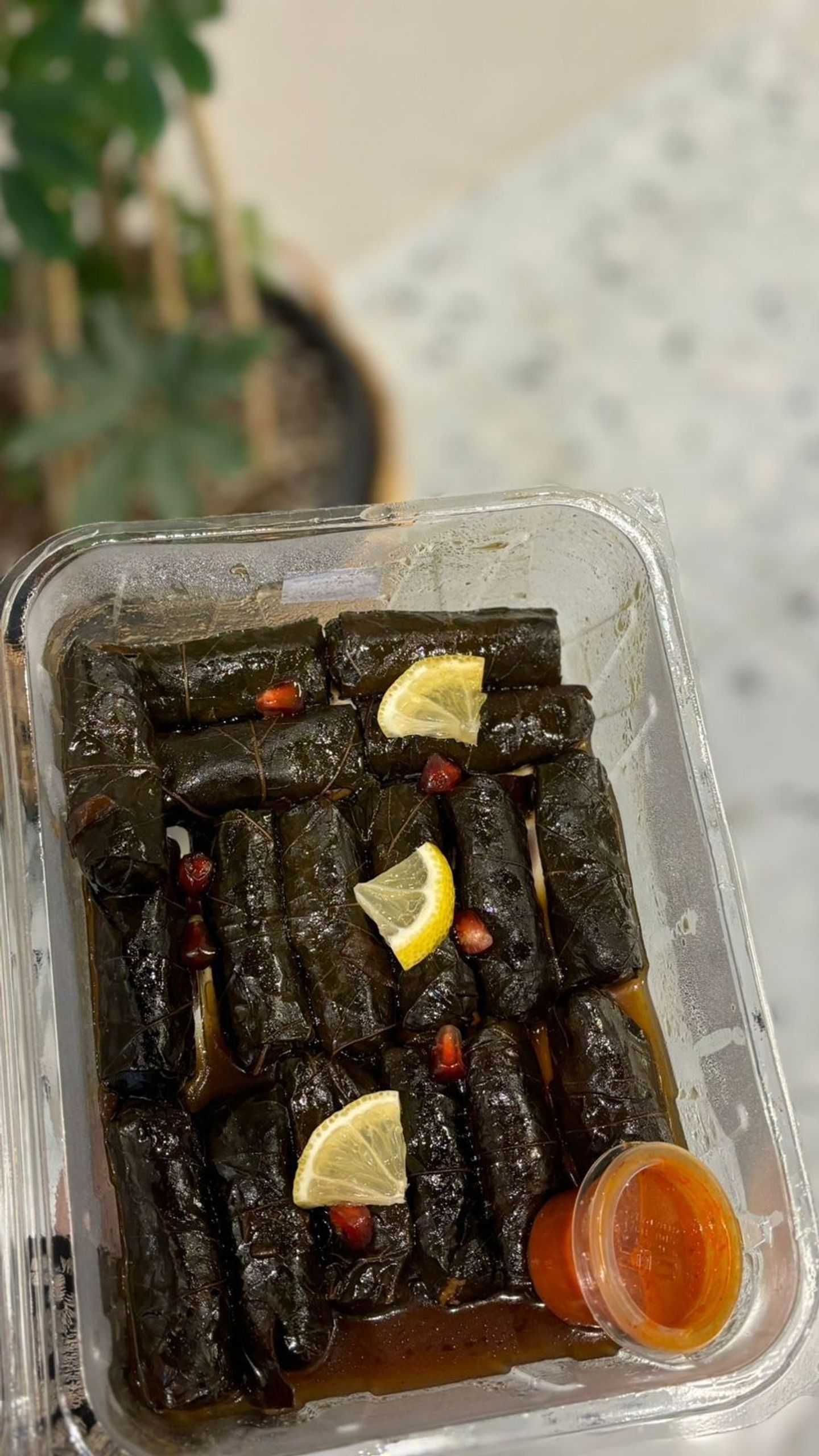 ورق عنب عنبتنا
