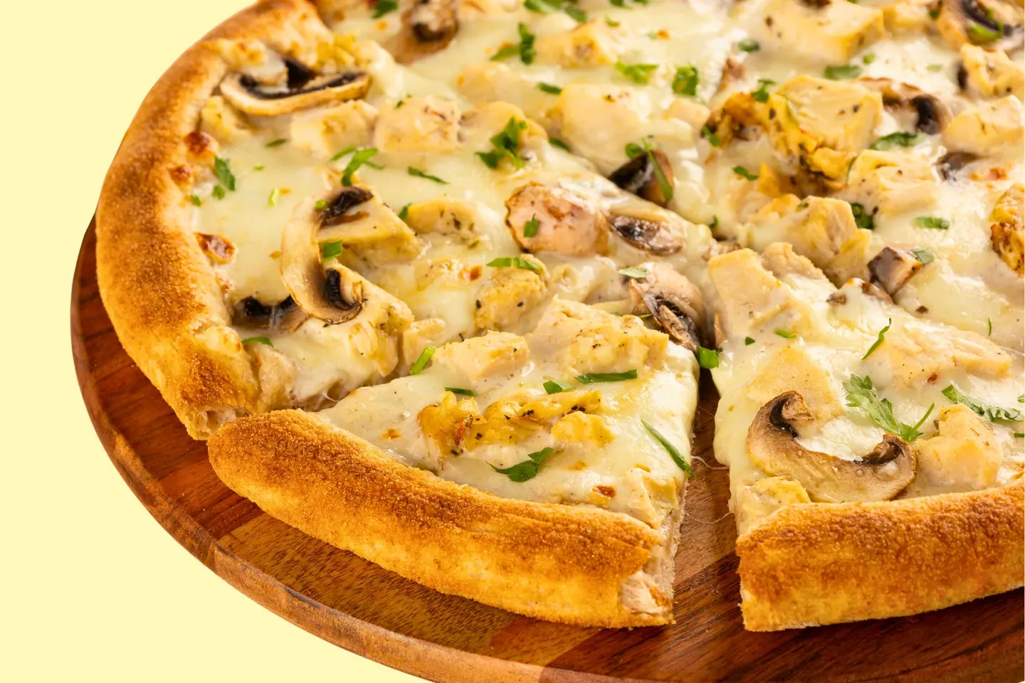 Chicken Alfredo Pizza Large