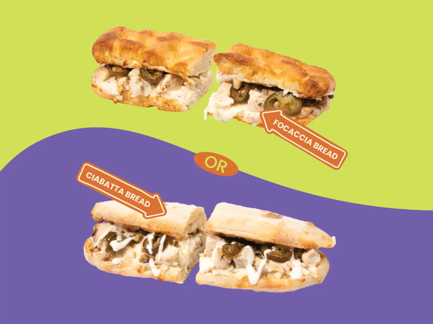 رانش دجاج هالبينو