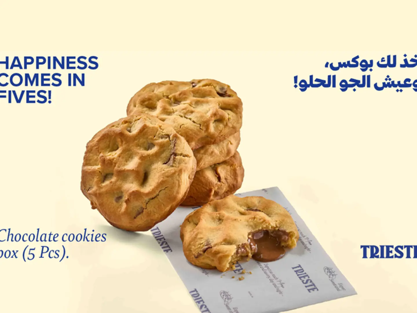 Chocolate Cookies Box (5 Pcs)