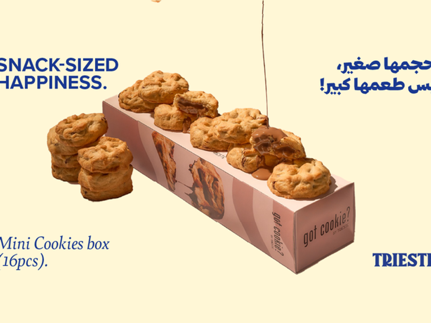Mini Cookies Box (16 Pcs)