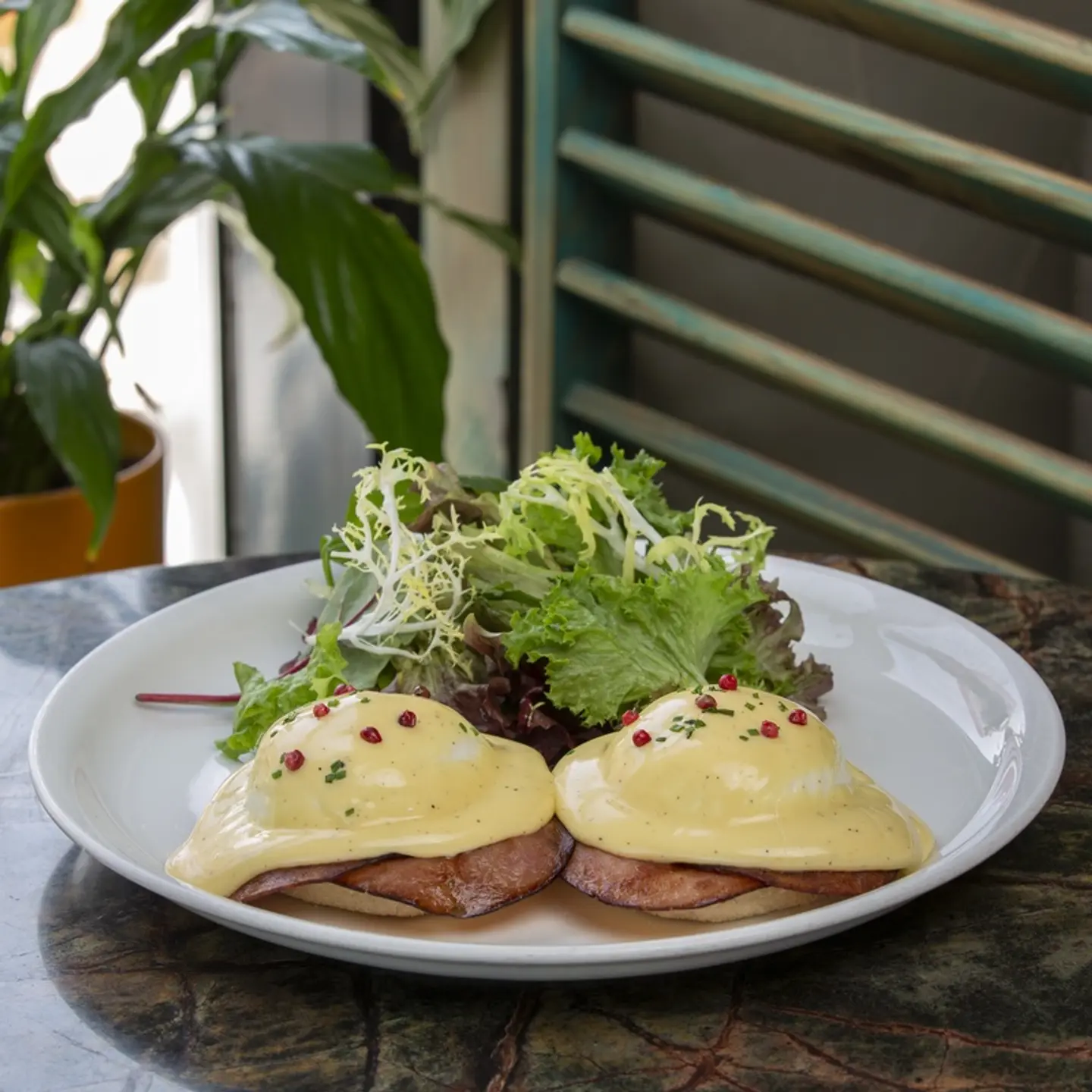 Benedict Egg Turkey (Turkey Slices)