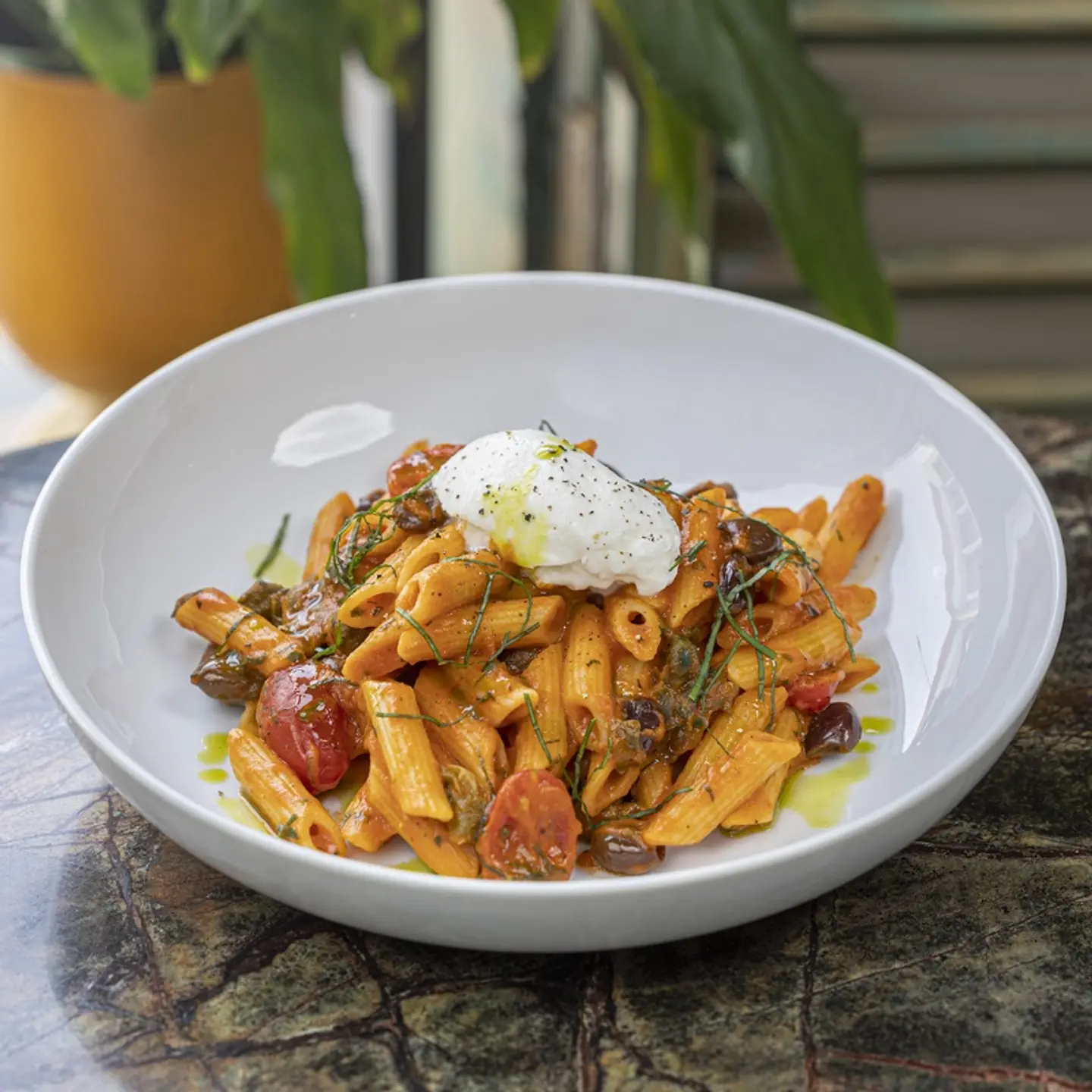 Pasta Penne & Burrata