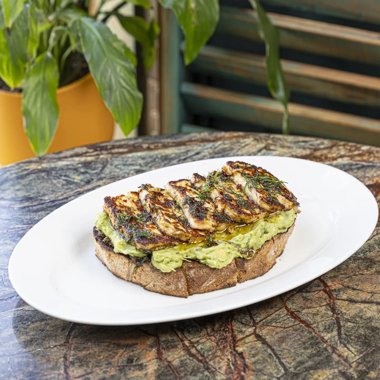 Avocado & Grilled Halloumi