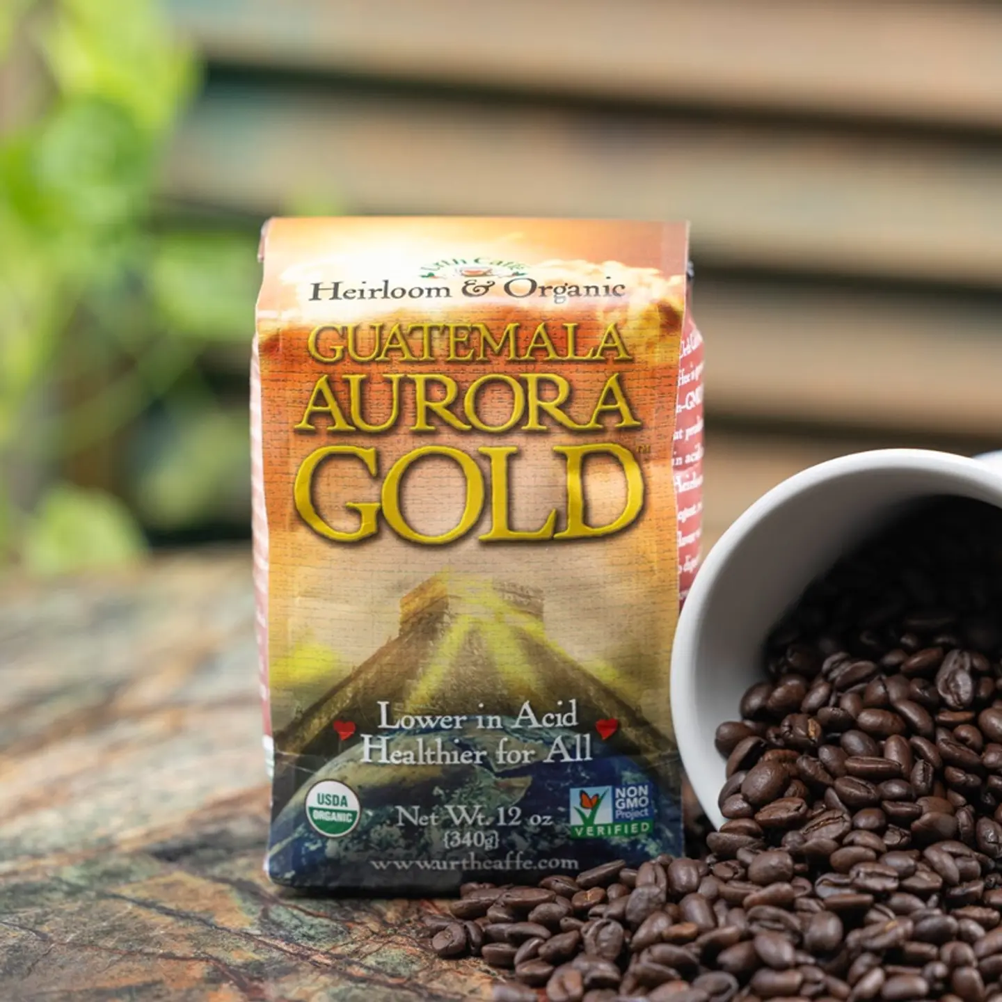 Aurora Gold