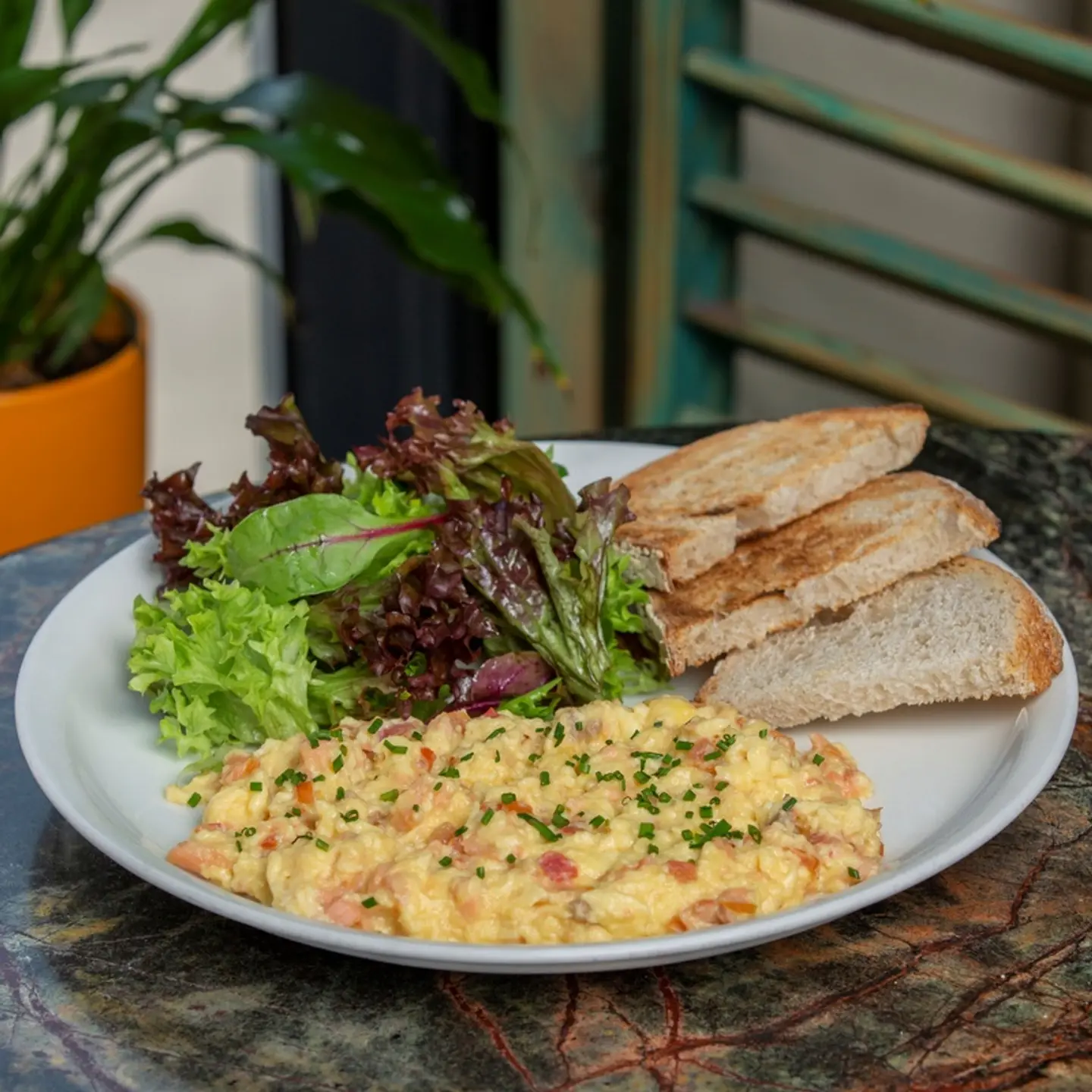 The Salmon Scramble