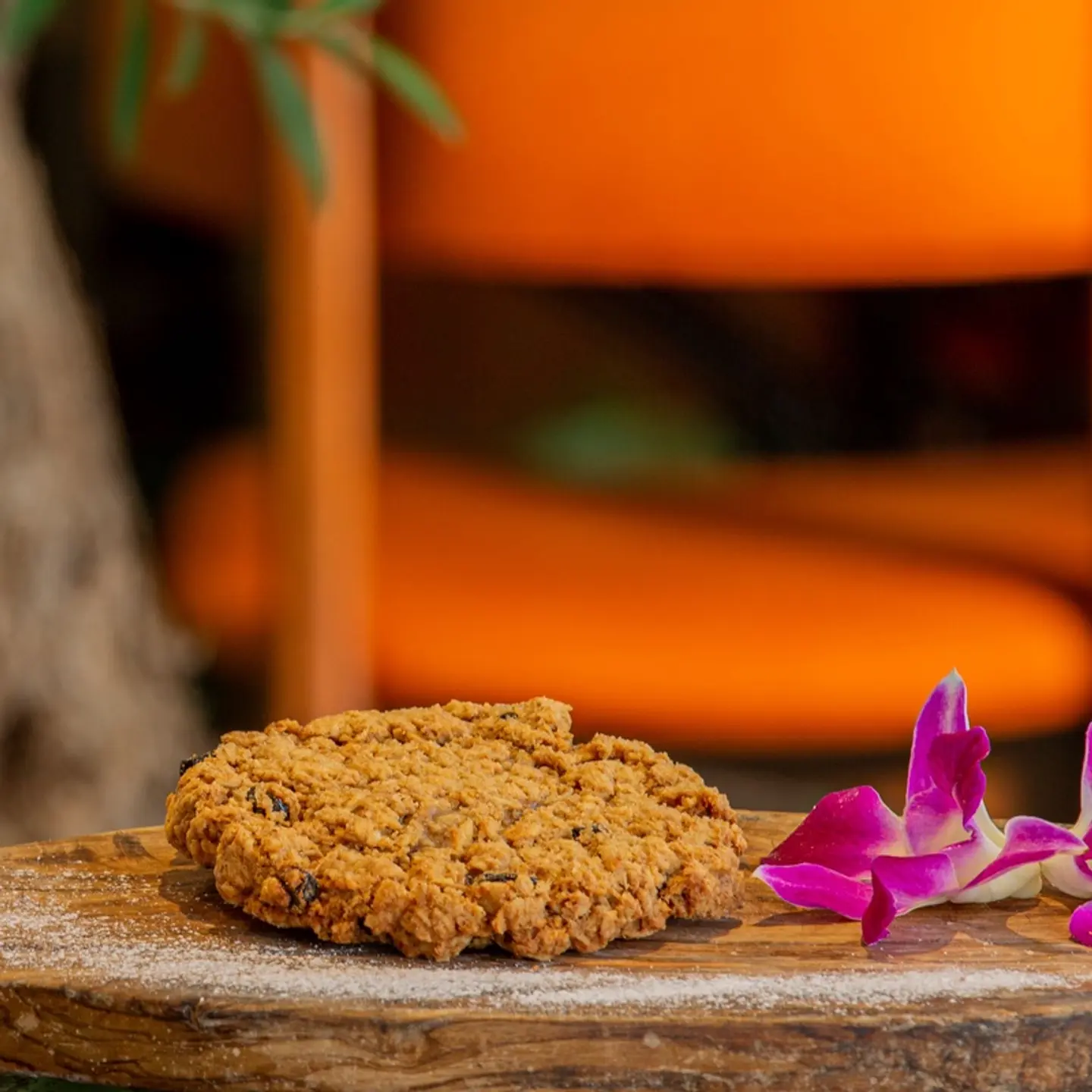 Oatmeal Raisin Cookie