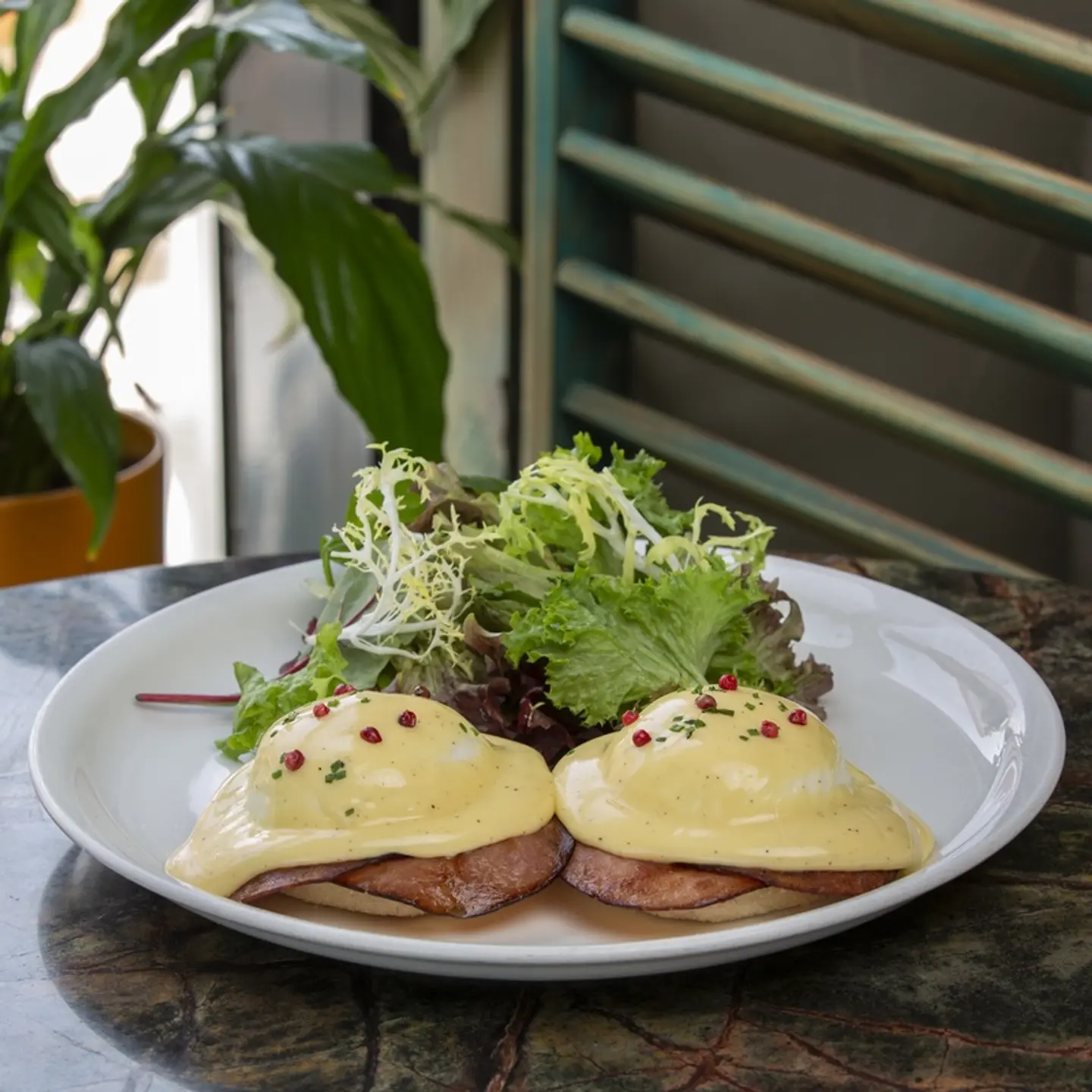 Benedict Egg Turkey (Turkey Slices)