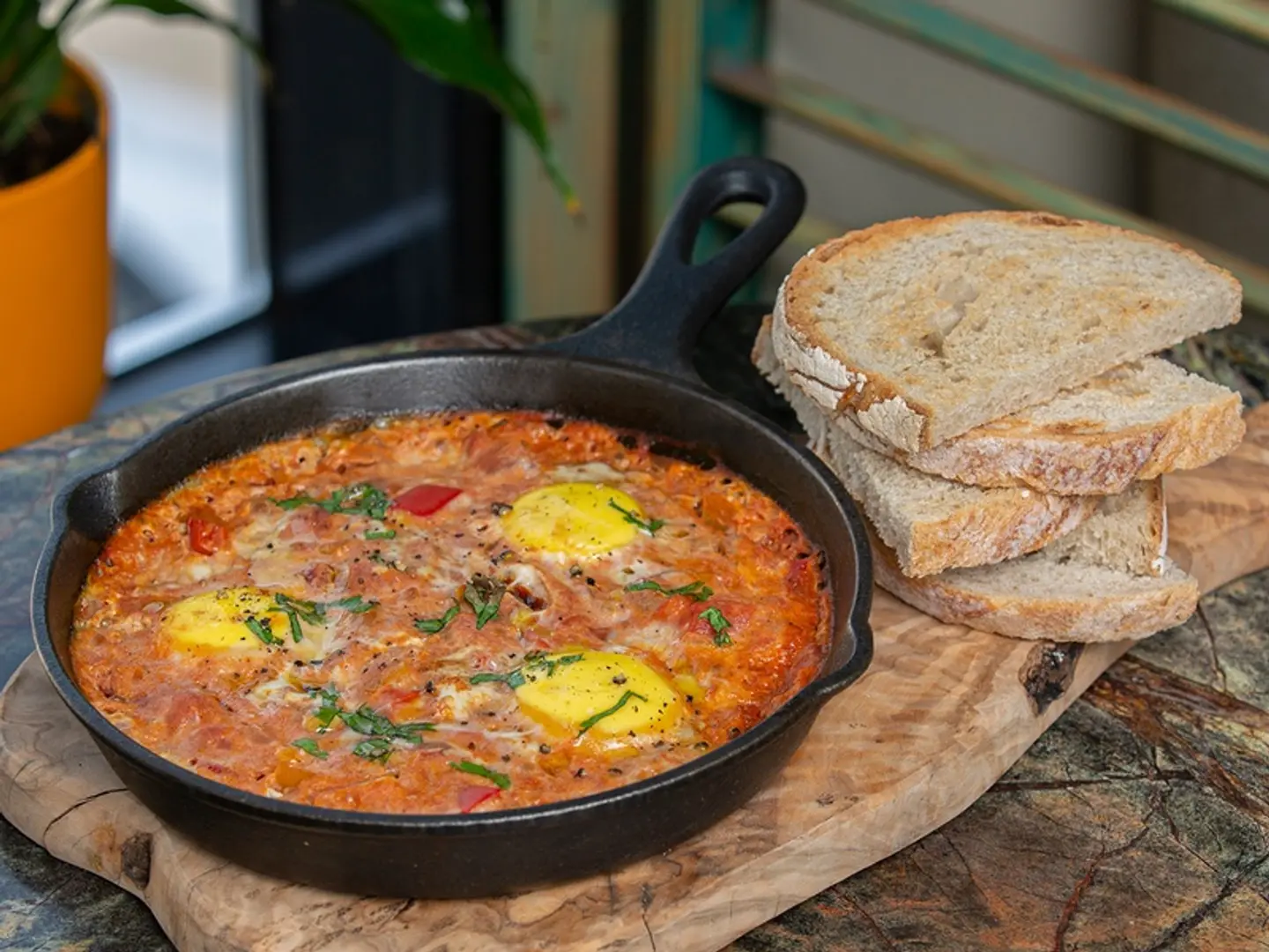 Mediterranean Shakshuka