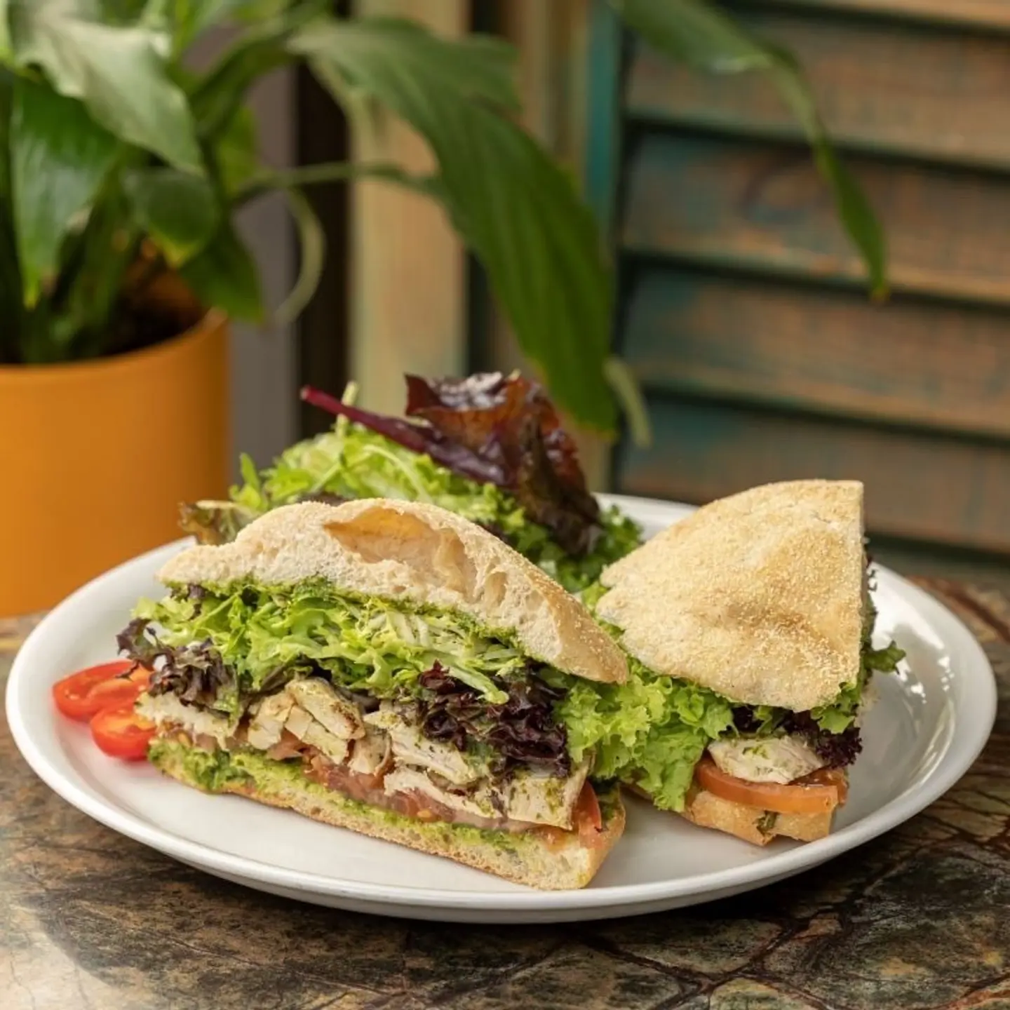 Grilled Cilantro Chicken Breast With Pesto (Half)