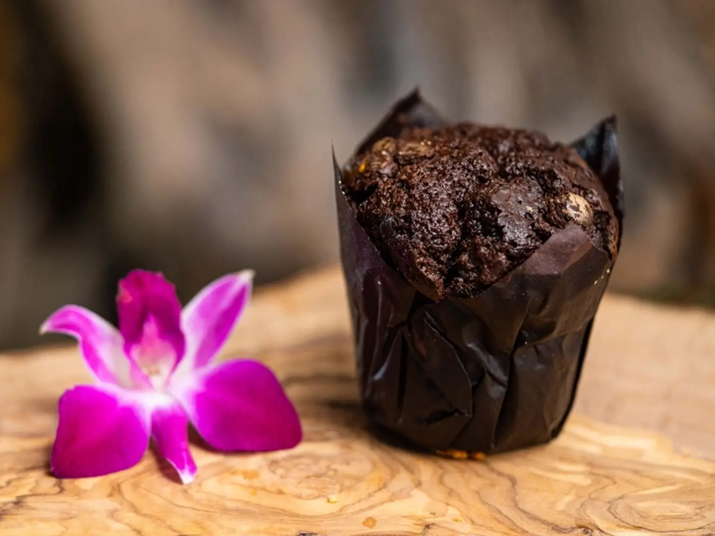 Chocolate Muffin