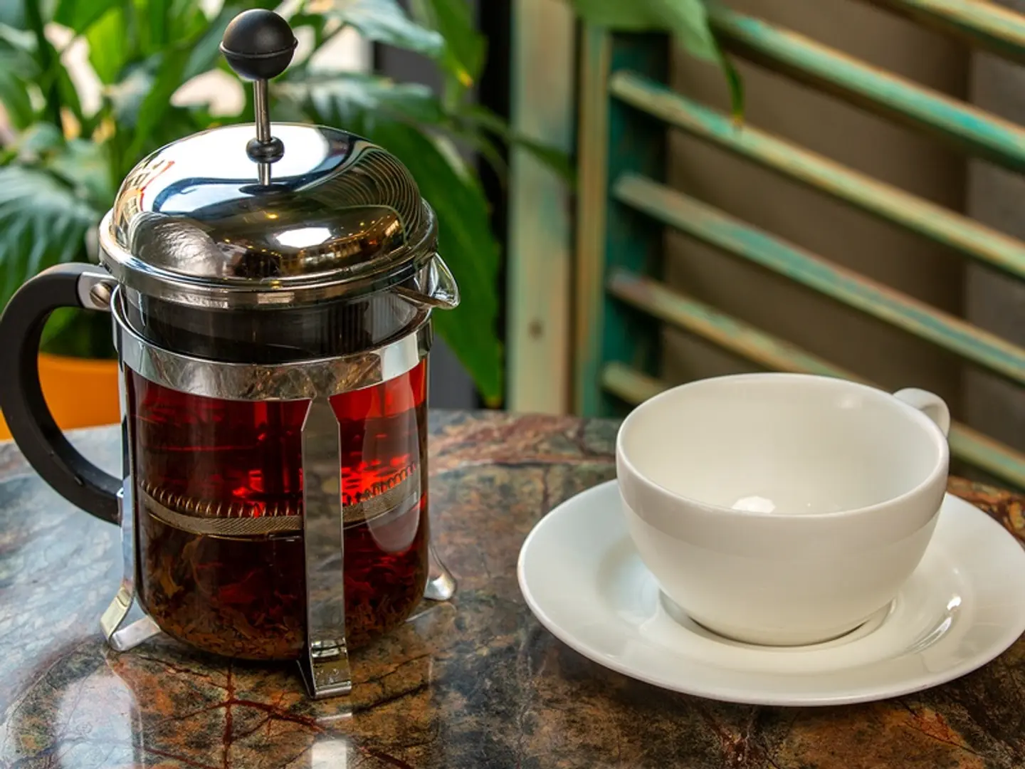 Small French Press Tea