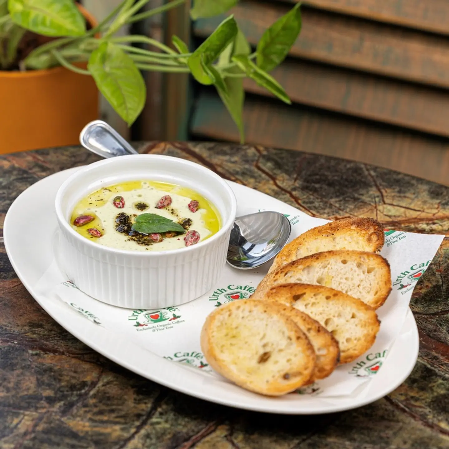 Creamy Feta Mint Pistachio