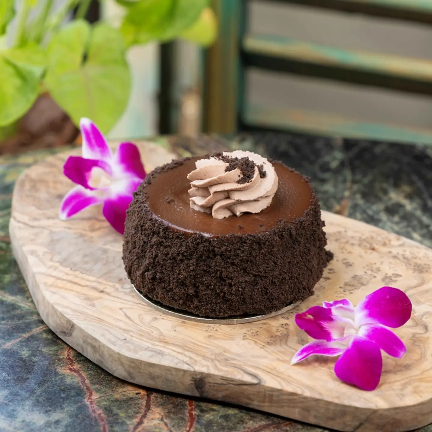 شوكولاته تشيز كيك