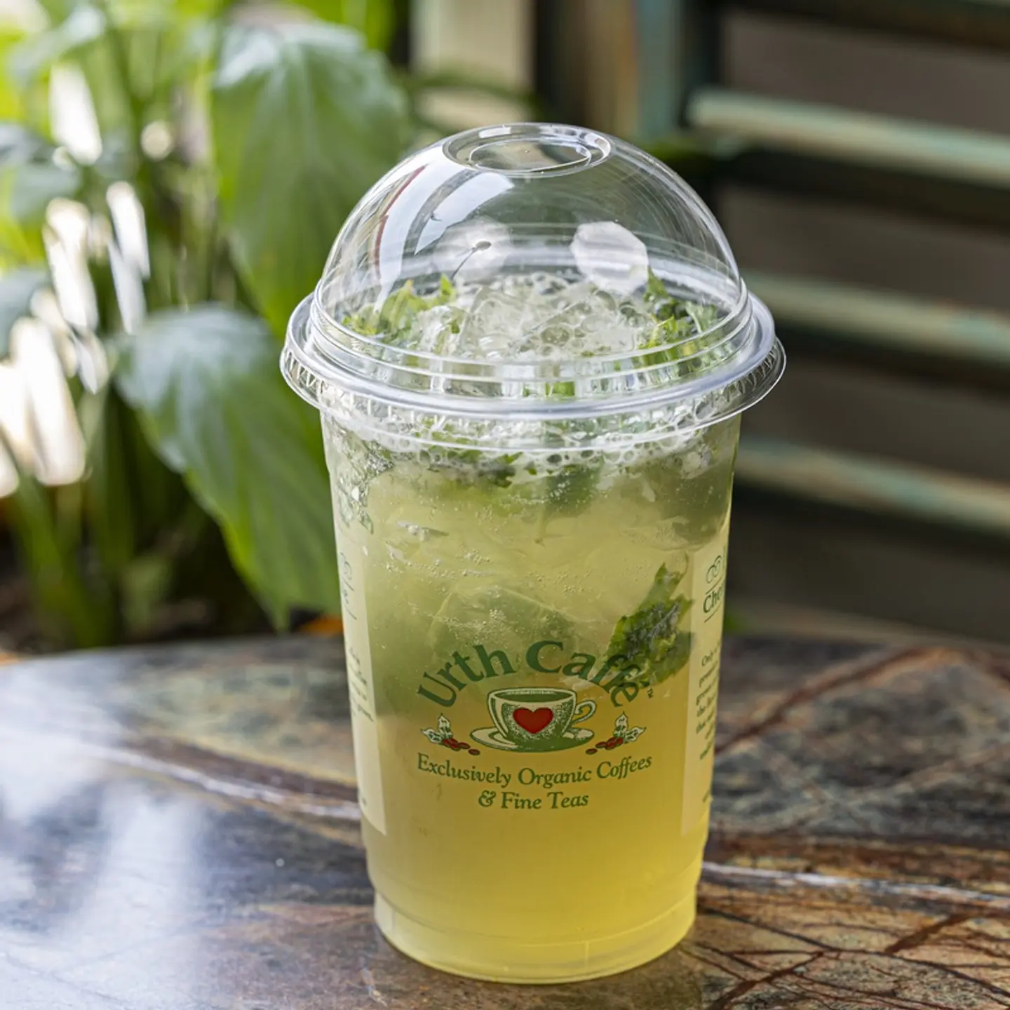 Chamomile Mint Ice Tea