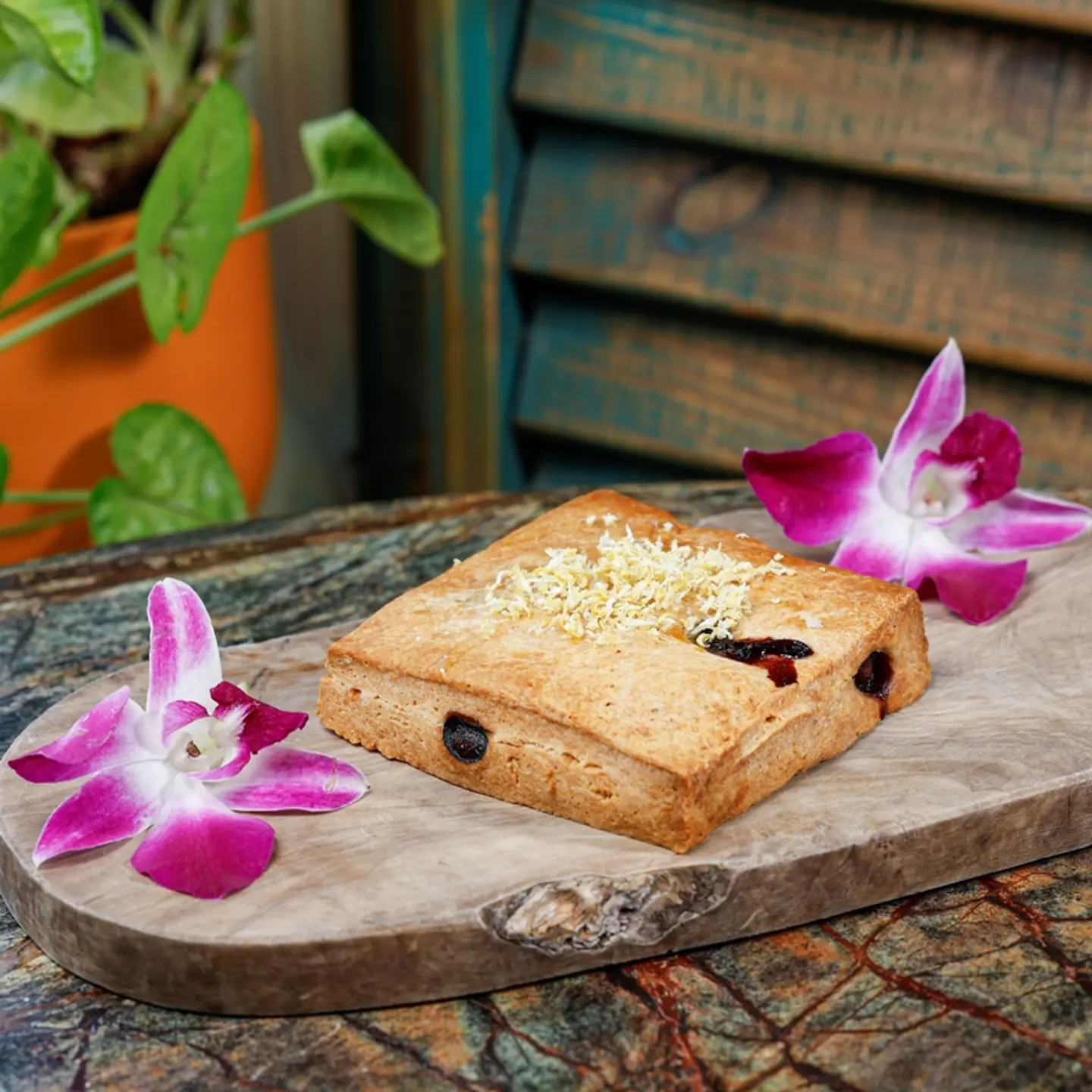 Blueberry Scone