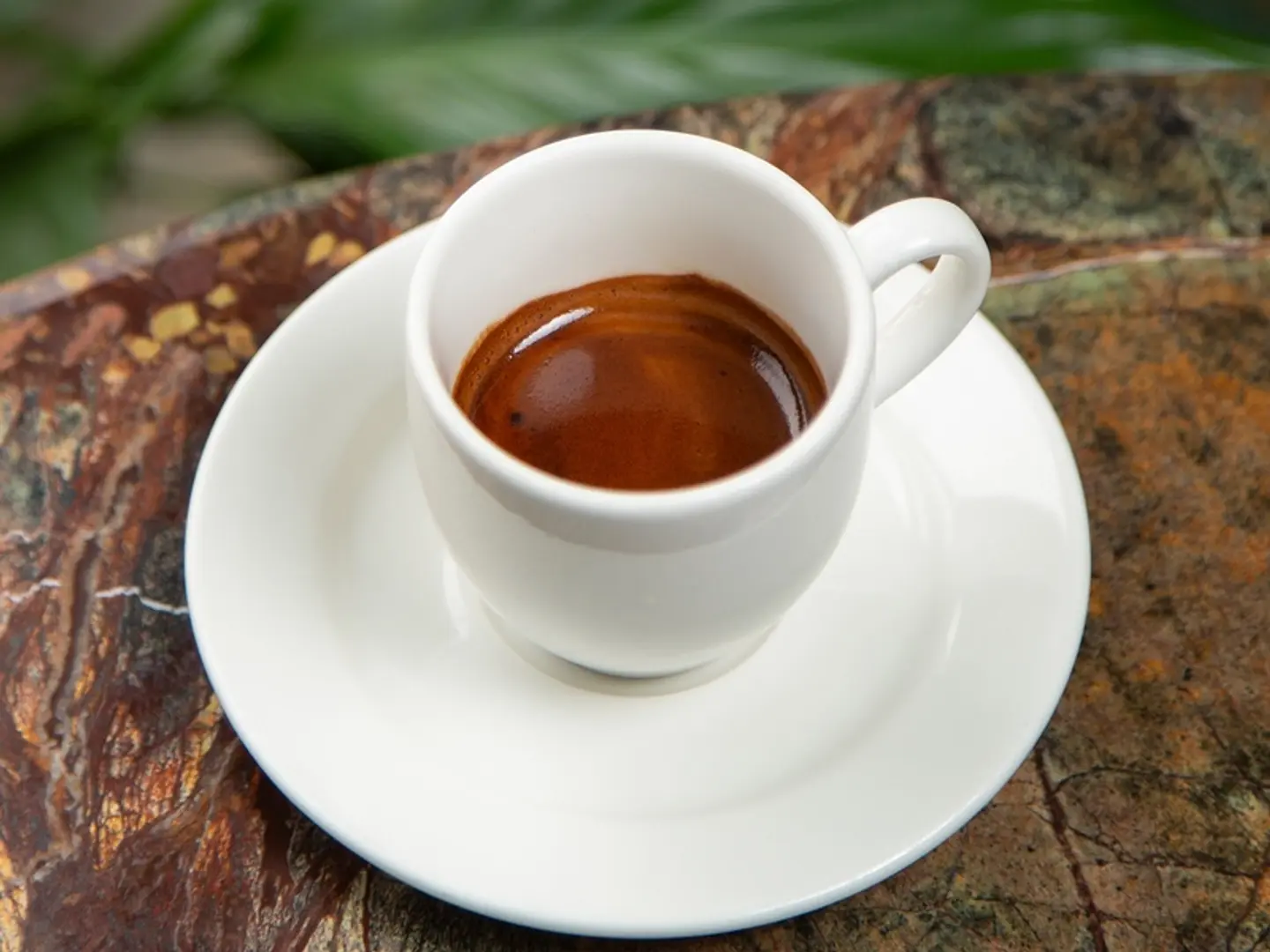 Double Espresso