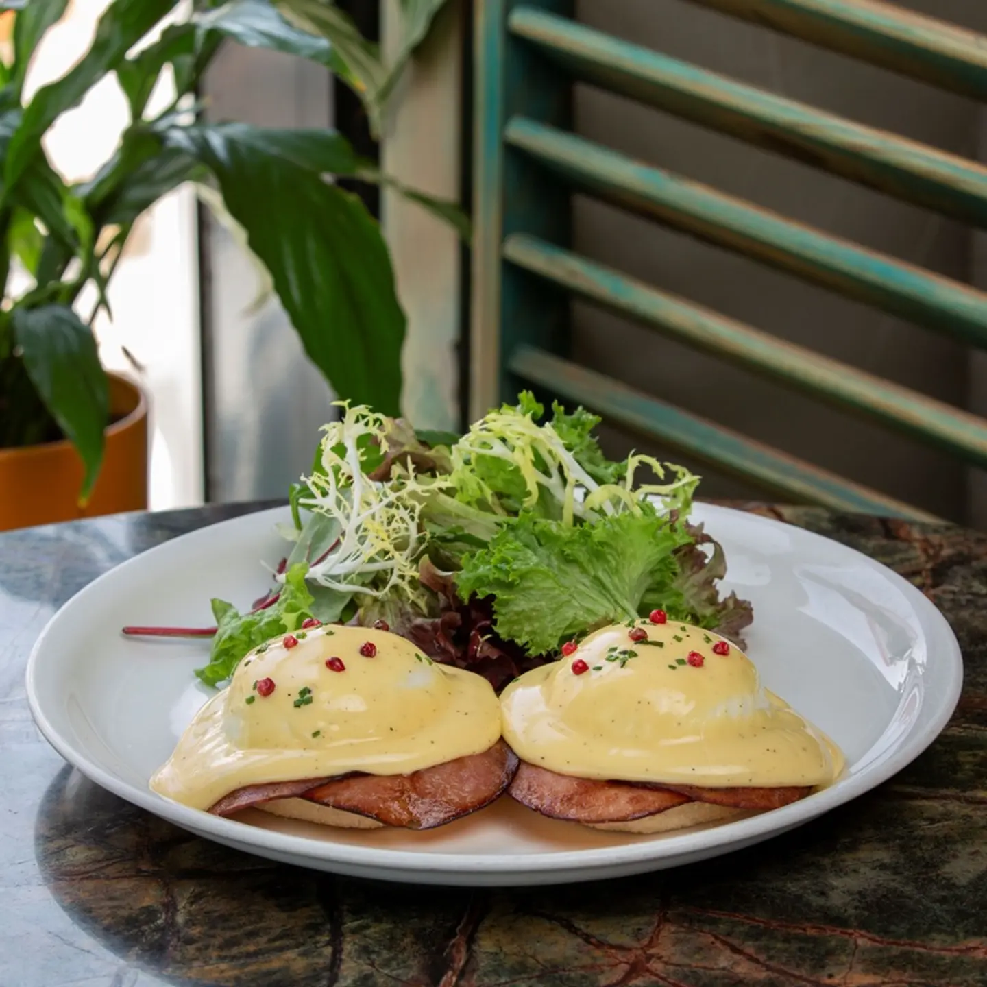 Benedict Egg Turkey (Turkey Slices)