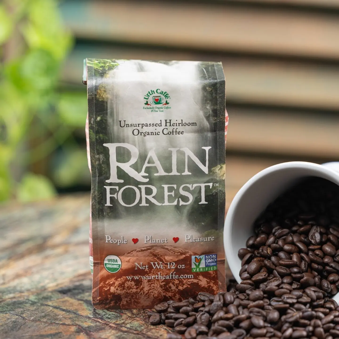 Rainforest