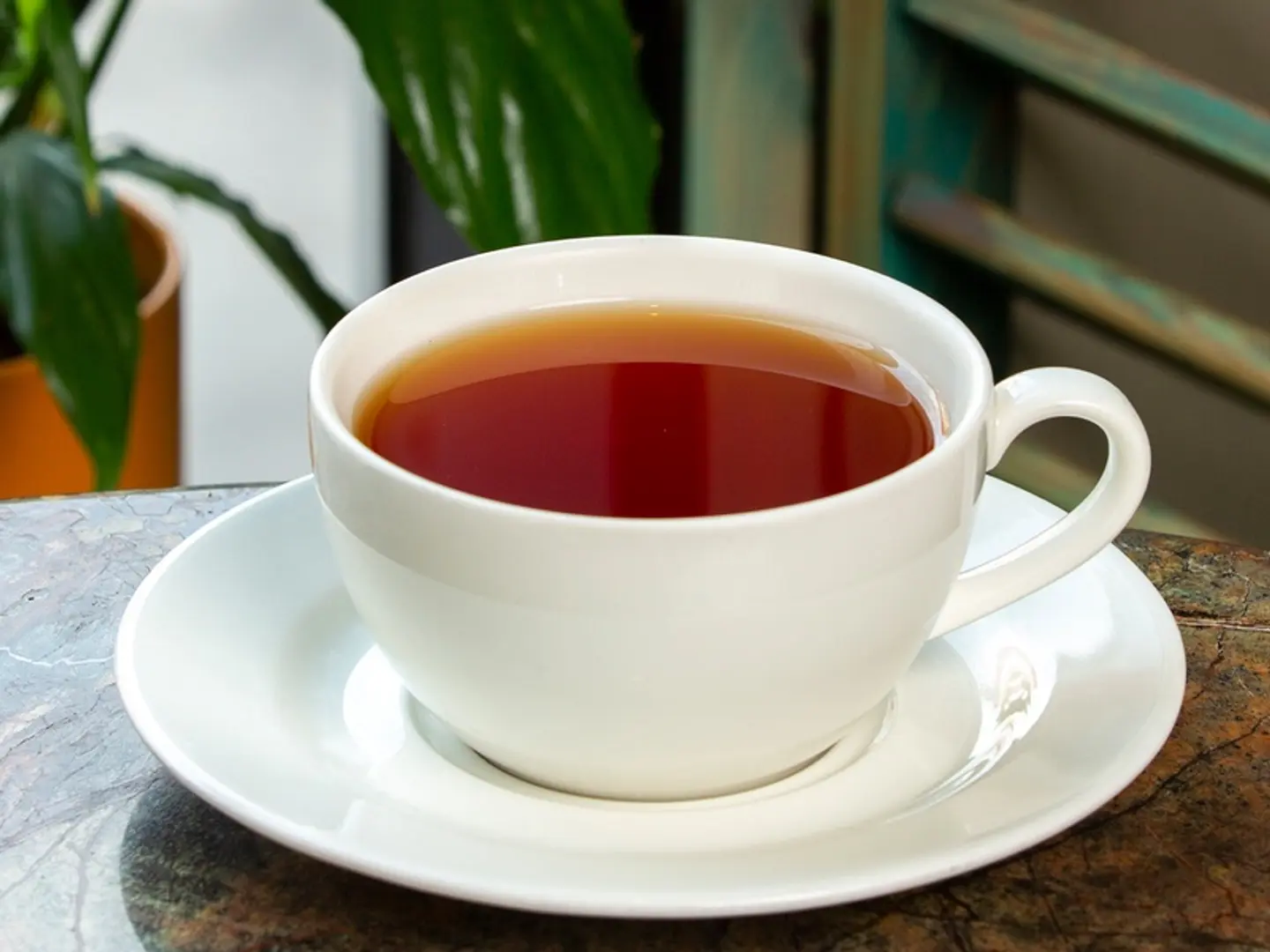 Small Hot Tea Dining