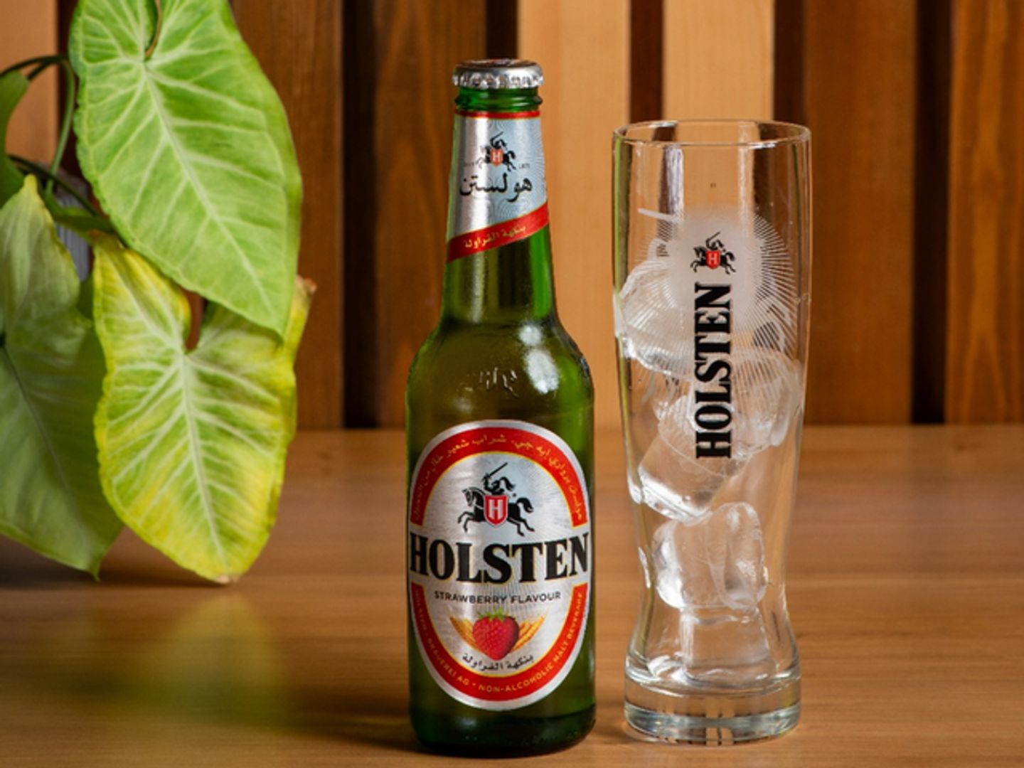 Holsten Beer