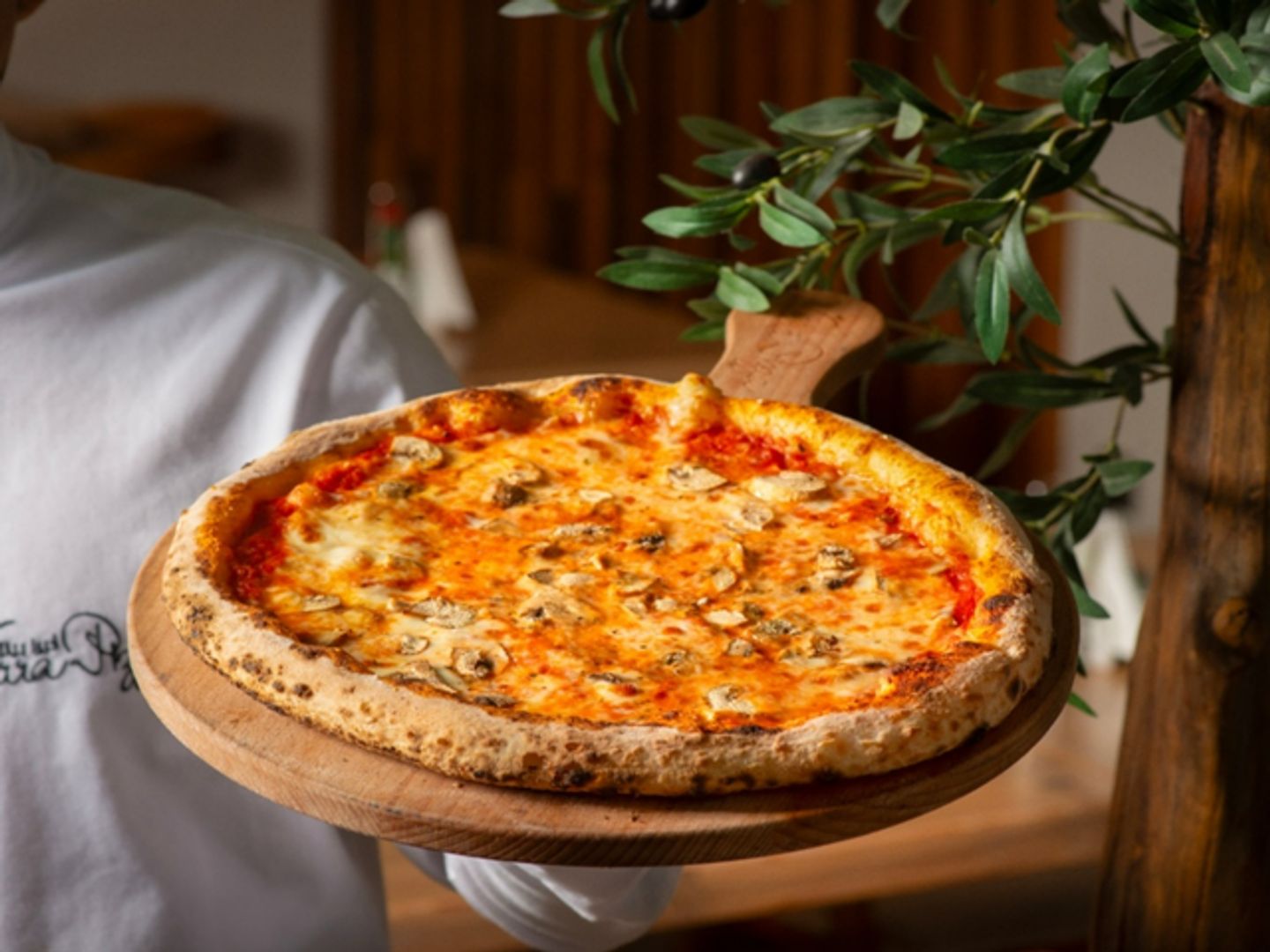 Pizza Funghi
