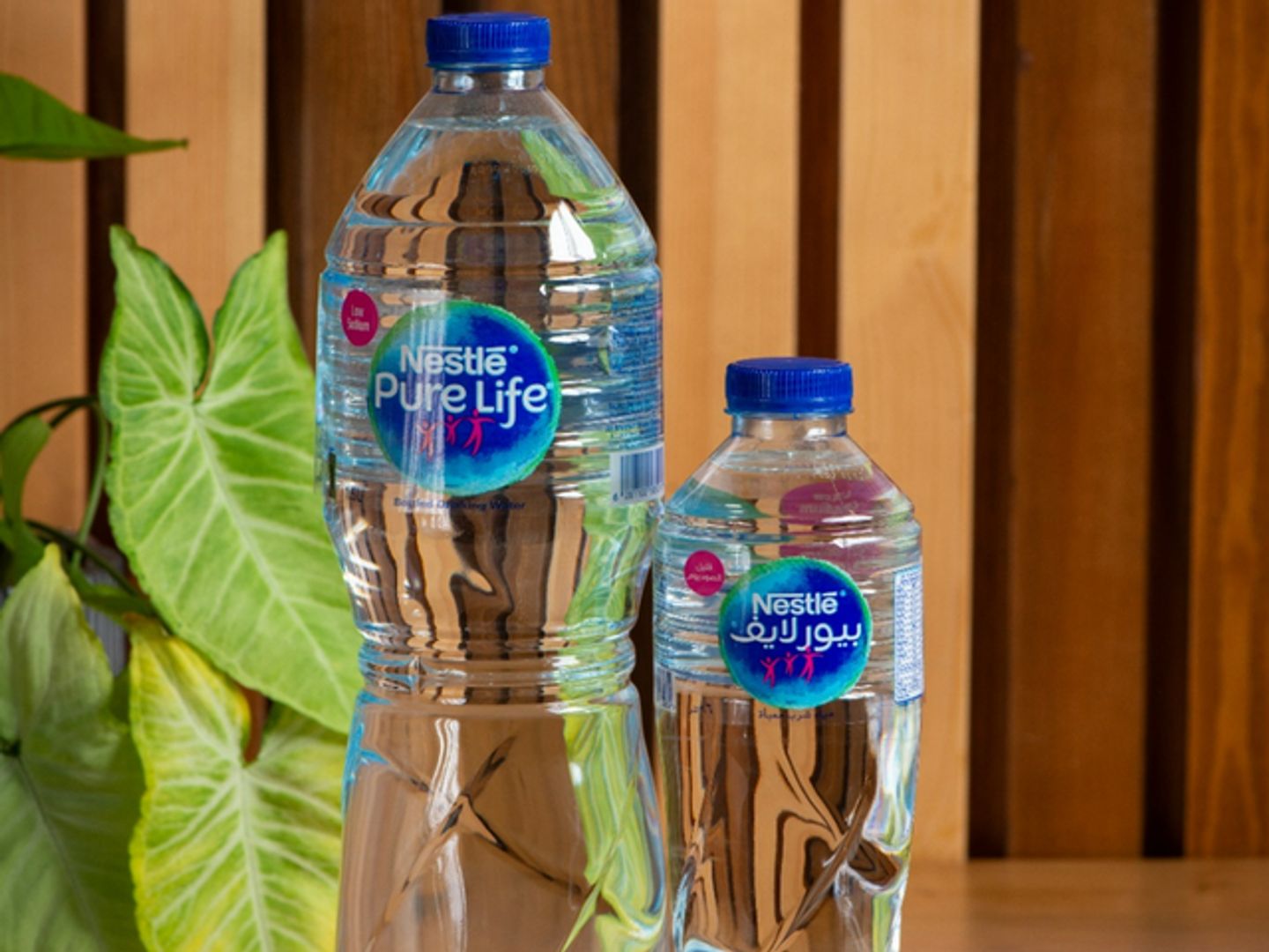 Water - Small