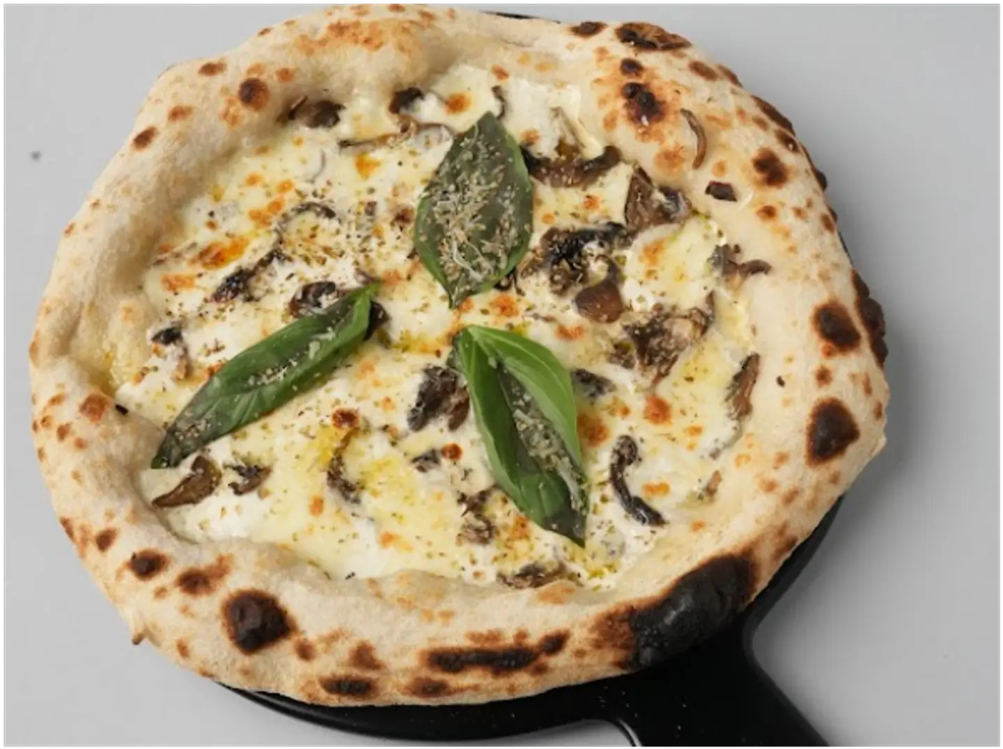 Neapolitan Truffle Pizza